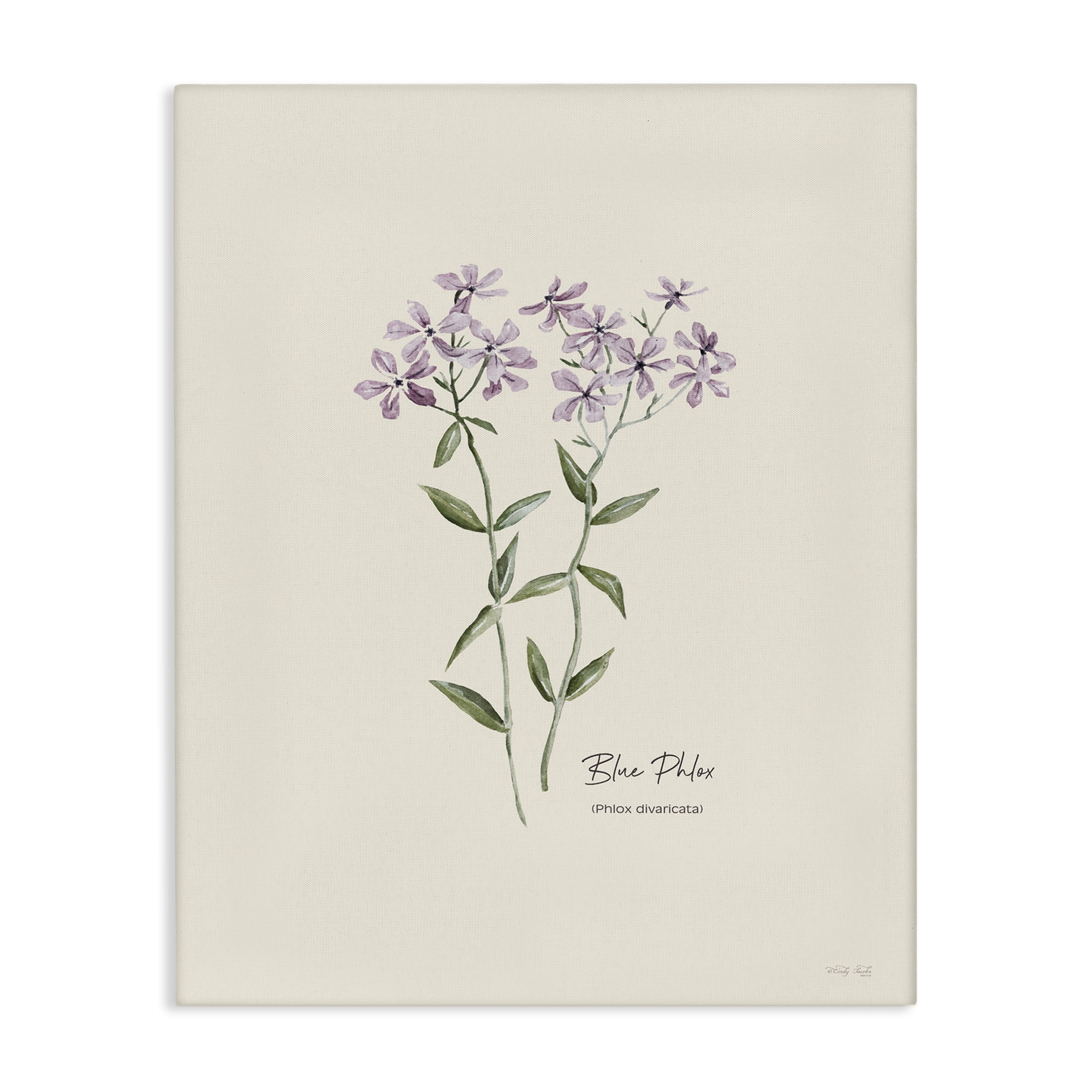 Stupell Industries Country Herb Diagram Botanical & Floral Painting Gallery Wrapped Canvas Art Print Wall Art, 16 x 20