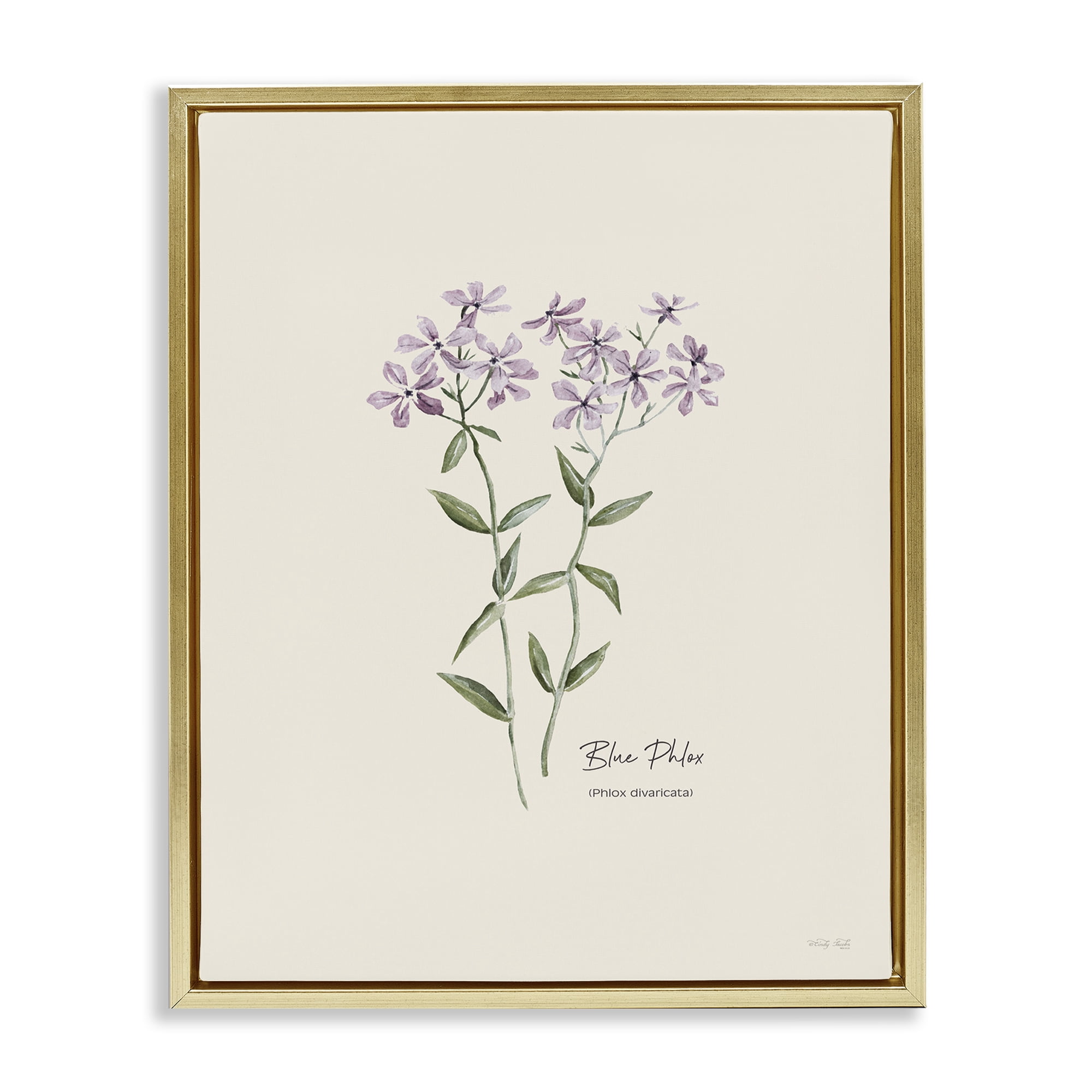 Stupell Industries Country Herb Diagram Botanical & Floral Painting Gold Floater Framed Art Print Wall Art, 25 x 31