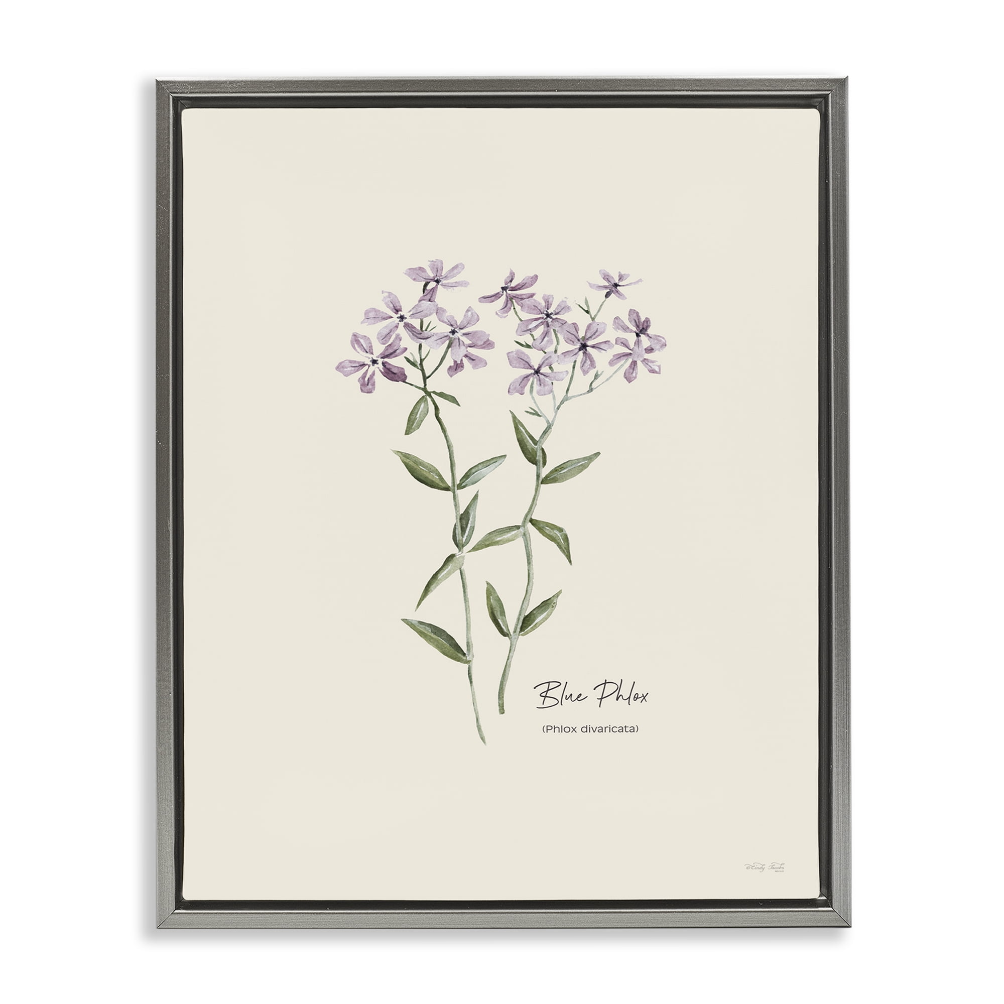 Stupell Industries Country Herb Diagram Botanical & Floral Painting Gray Floater Framed Art Print Wall Art, 25 x 31