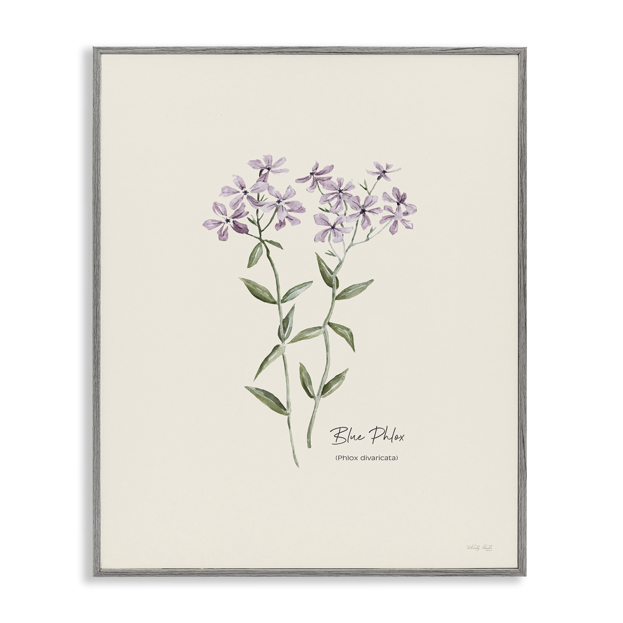 Stupell Industries Country Herb Diagram Botanical & Floral Painting Gray Framed Art Print Wall Art, 24 x 30