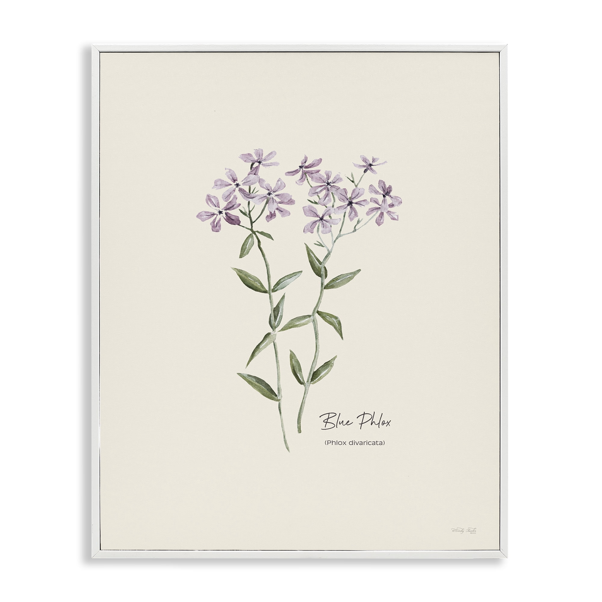 Stupell Industries Country Herb Diagram Botanical & Floral Painting White Framed Art Print Wall Art, 24 x 30