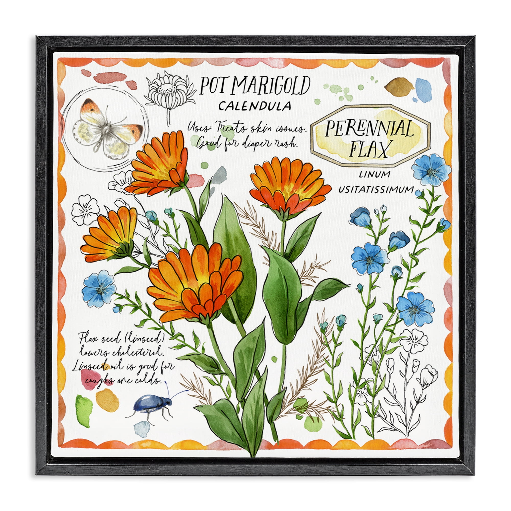 Stupell Industries Country Herb Uses Plants & Flowers Painting Black Floater Framed Canvas Art Print Wall Art, 18 x 18