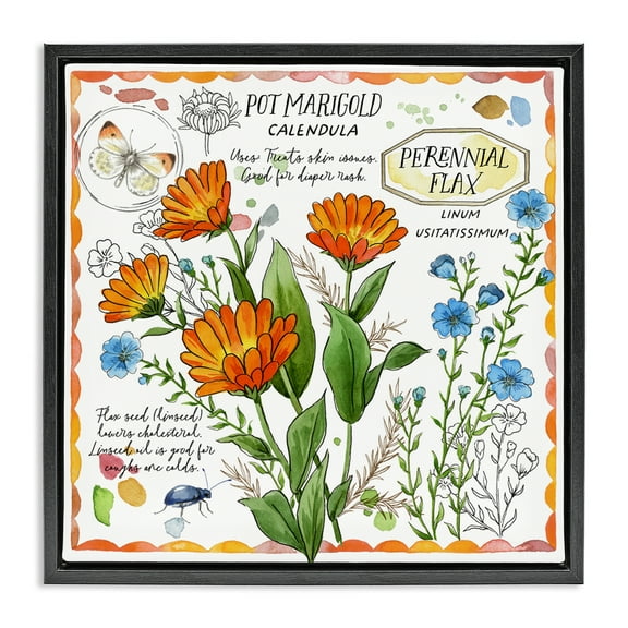 Stupell Industries Country Herb Uses Plants & Flowers Painting Black Floater Framed Canvas Art Print Wall Art, 18 x 18