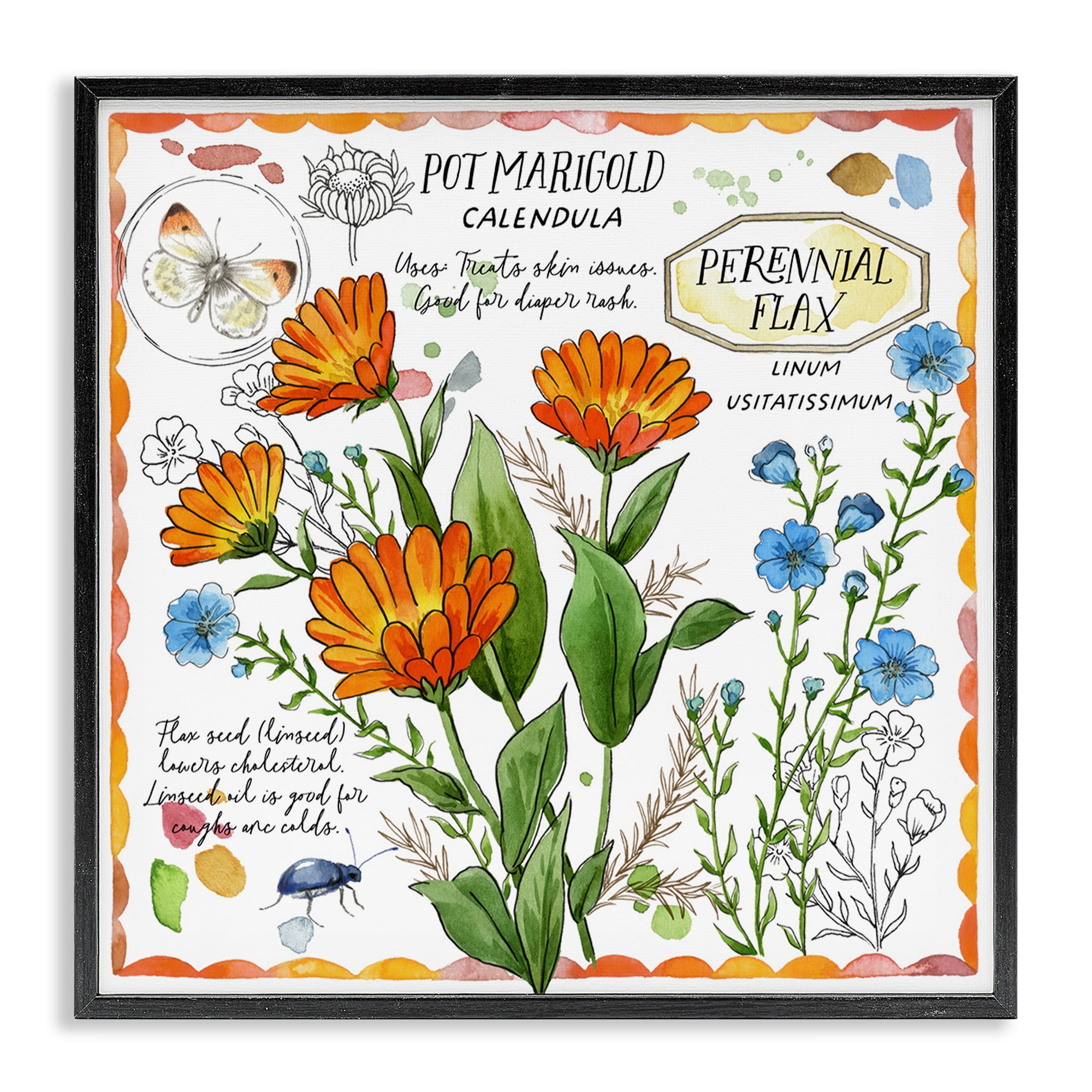 Stupell Industries Country Herb Uses Plants & Flowers Painting Black Framed Art Print Wall Art, 17 x 17