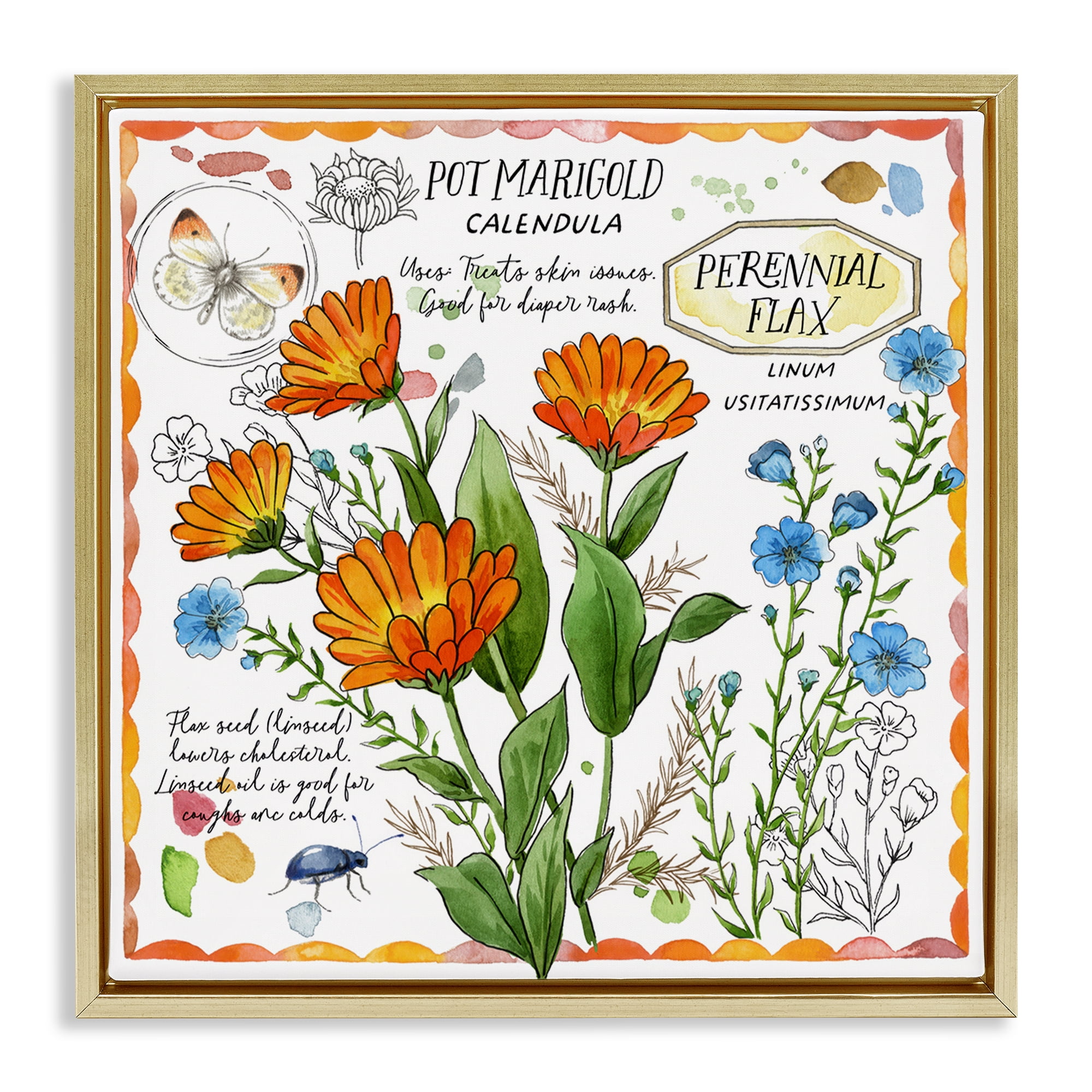 Stupell Industries Country Herb Uses Plants & Flowers Painting Gold Floater Framed Canvas Art Print Wall Art, 25 x 25