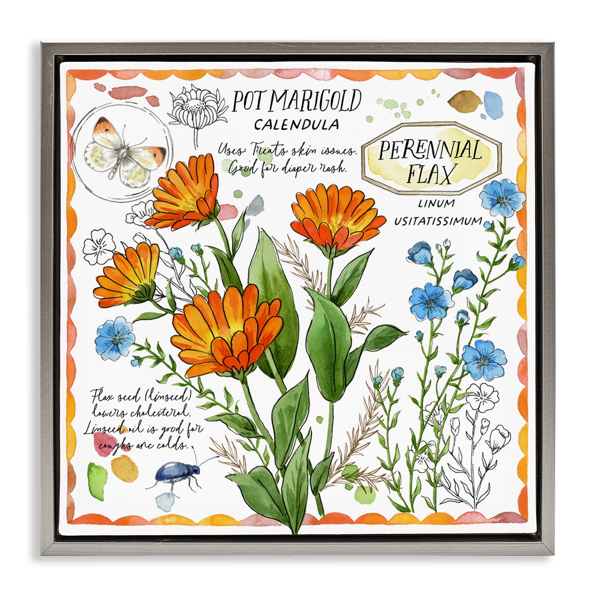 Stupell Industries Country Herb Uses Plants & Flowers Painting Gray Floater Framed Canvas Art Print Wall Art, 25 x 25