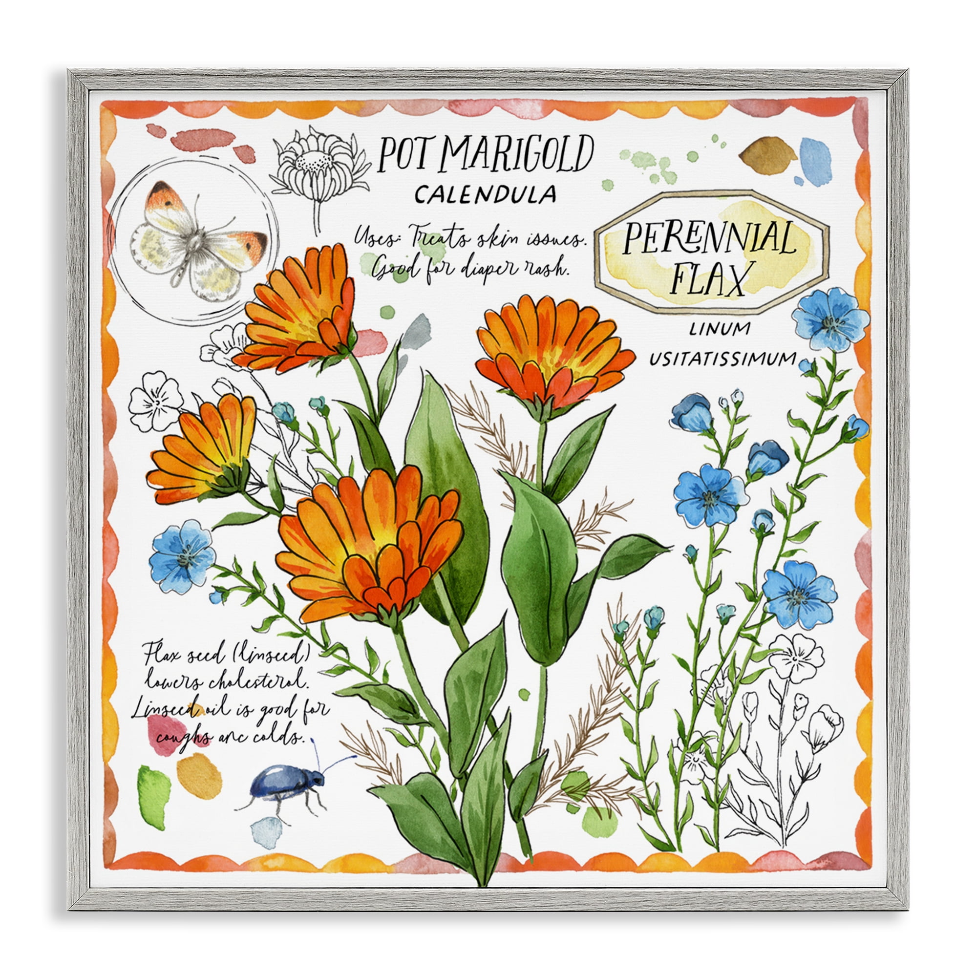 Stupell Industries Country Herb Uses Plants & Flowers Painting Gray Framed Art Print Wall Art, 12 x 12
