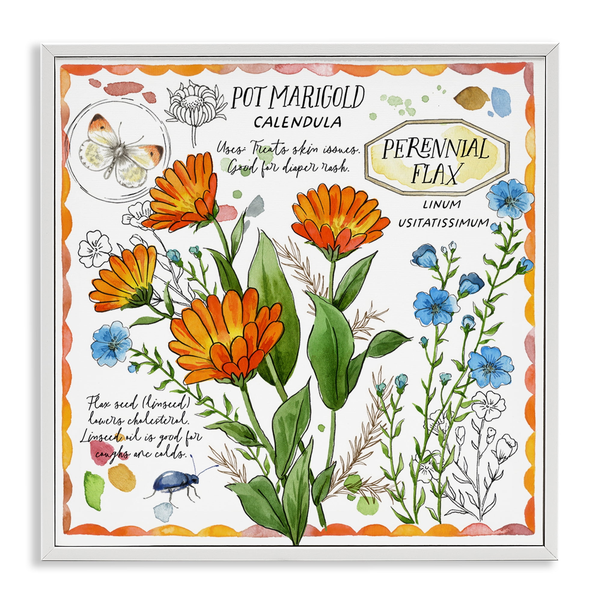 Stupell Industries Country Herb Uses Plants & Flowers Painting White Framed Art Print Wall Art, 24 x 24