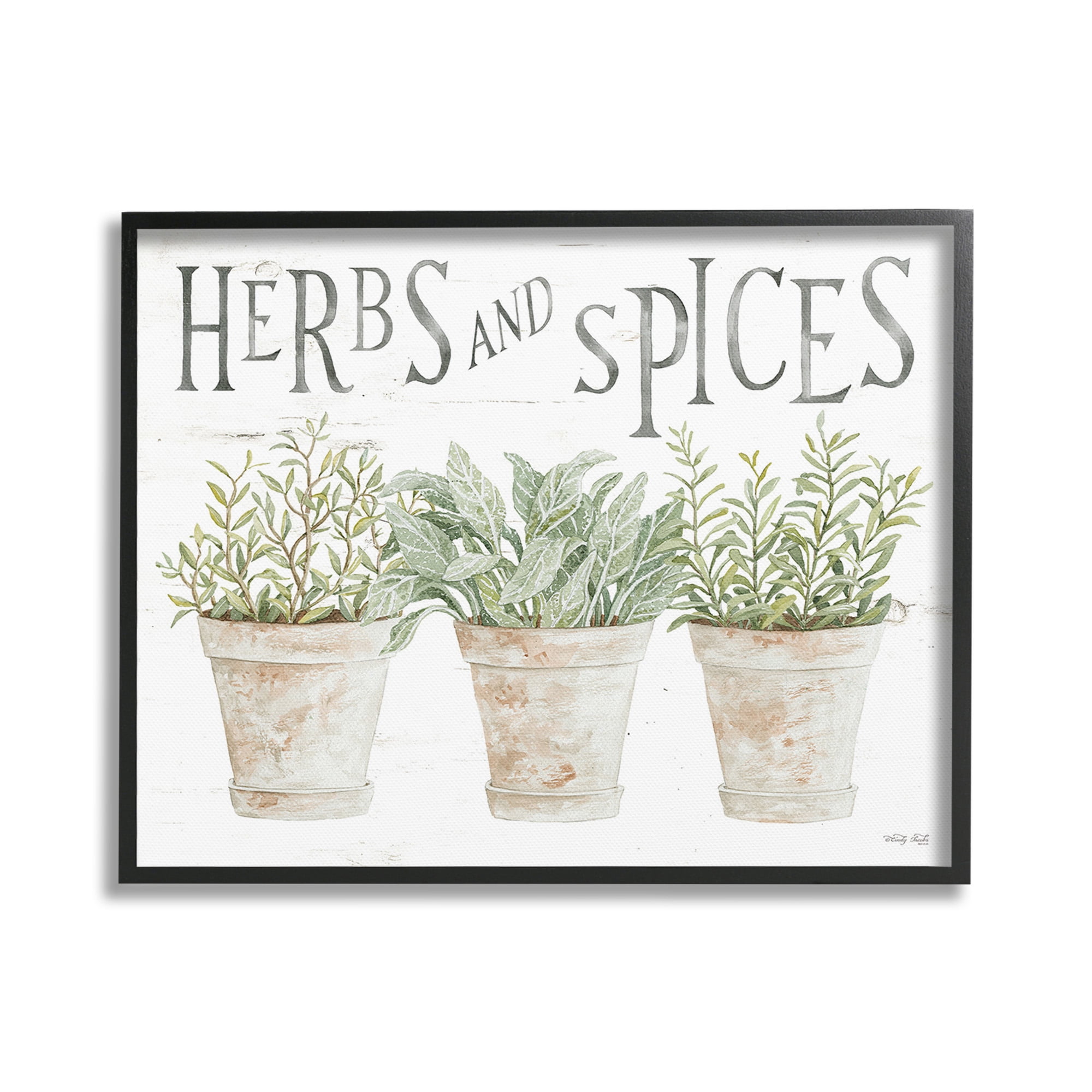 Stupell Industries Country Herbs & Spices Botanical & Floral Painting Black Framed Art Print Wall Art, 20 x 16