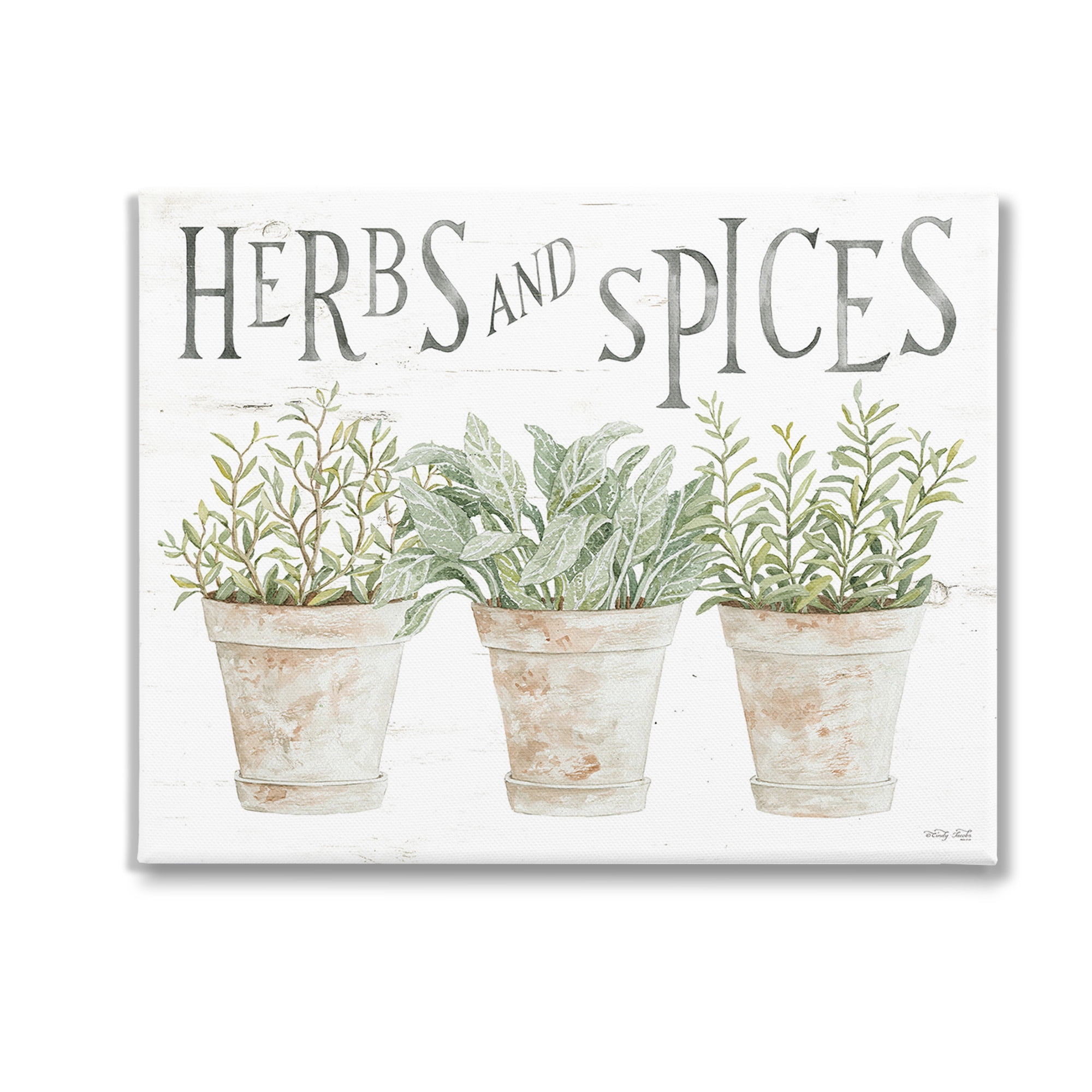 Stupell Industries Country Herbs & Spices Botanical & Floral Painting Gallery Wrapped Canvas Art Print Wall Art, 30 x 24