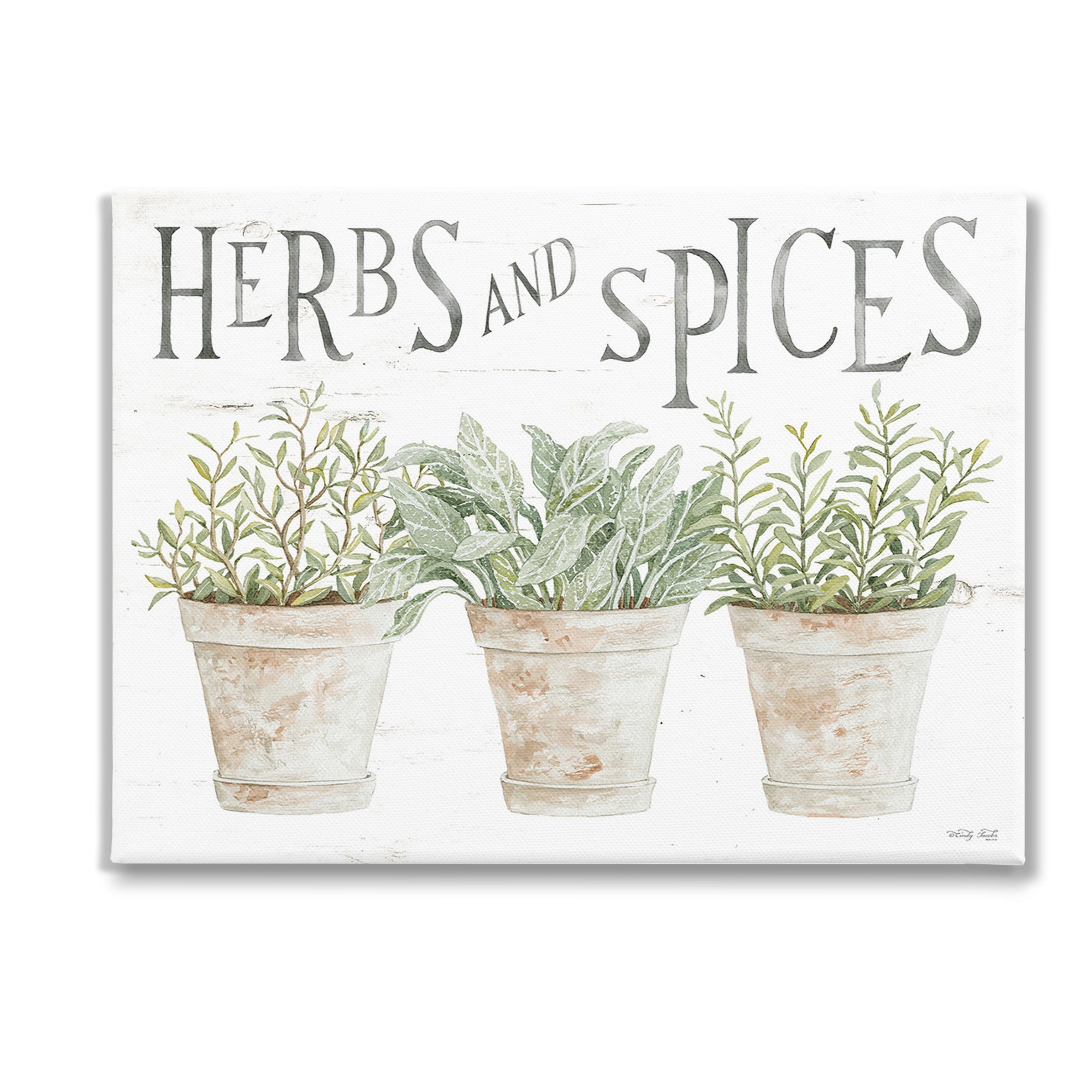Stupell Industries Country Herbs & Spices Botanical & Floral Painting Gallery Wrapped Canvas Art Print Wall Art, 48 x 36