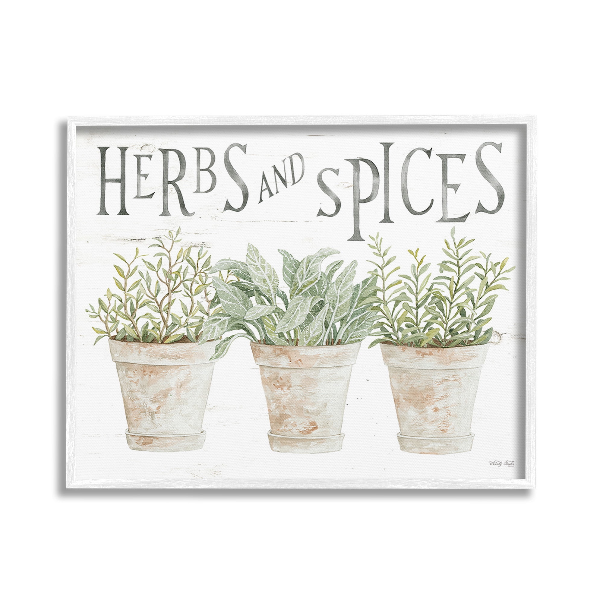 Stupell Industries Country Herbs & Spices Botanical & Floral Painting White Framed Art Print Wall Art, 20 x 16
