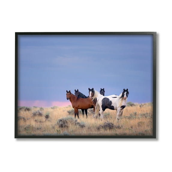 Stupell Industries Country Horses in Meadow Animals & Insects Photography Black Framed Art Print Wall Art, 30 x 24