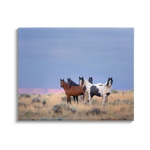 Stupell Industries Country Horses in Meadow Animals & Insects Photography Gallery Wrapped Canvas Art Print Wall Art, 30 x 24