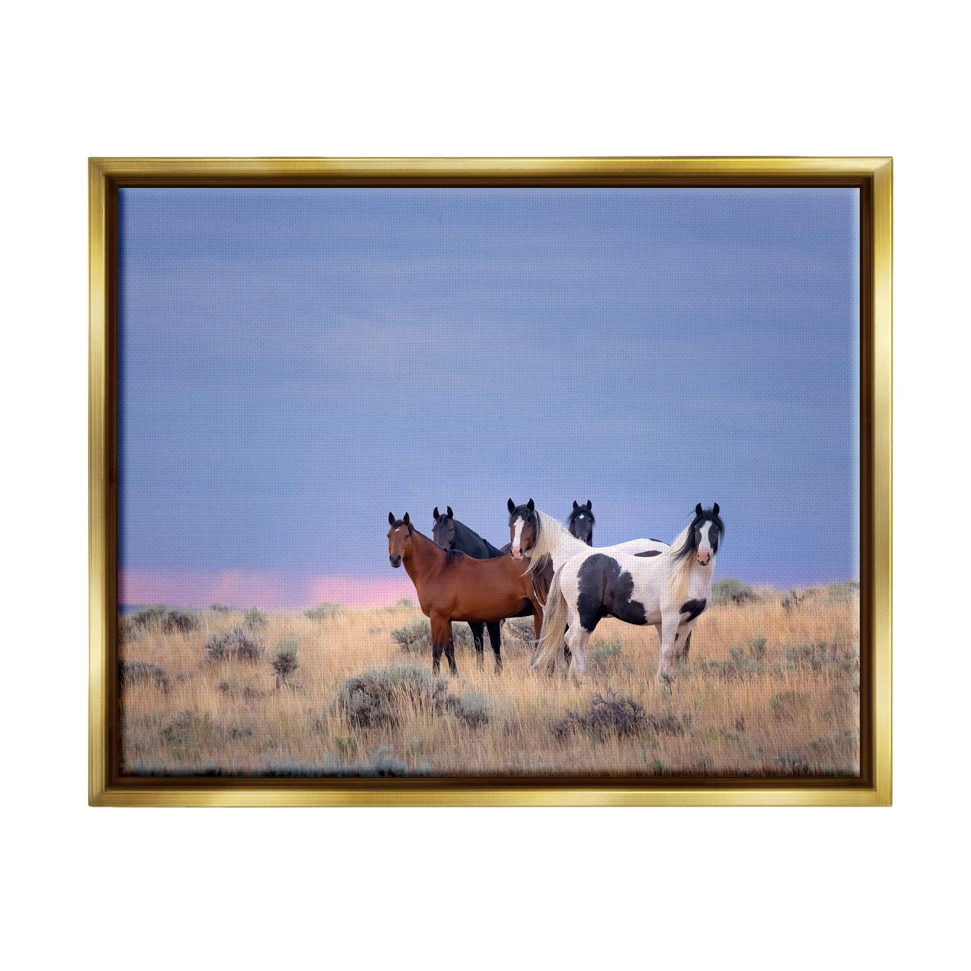 Stupell Industries Country Horses in Meadow Animals & Insects Photography Gold Floater Framed Canvas Art Print Wall Art, 31 x 25
