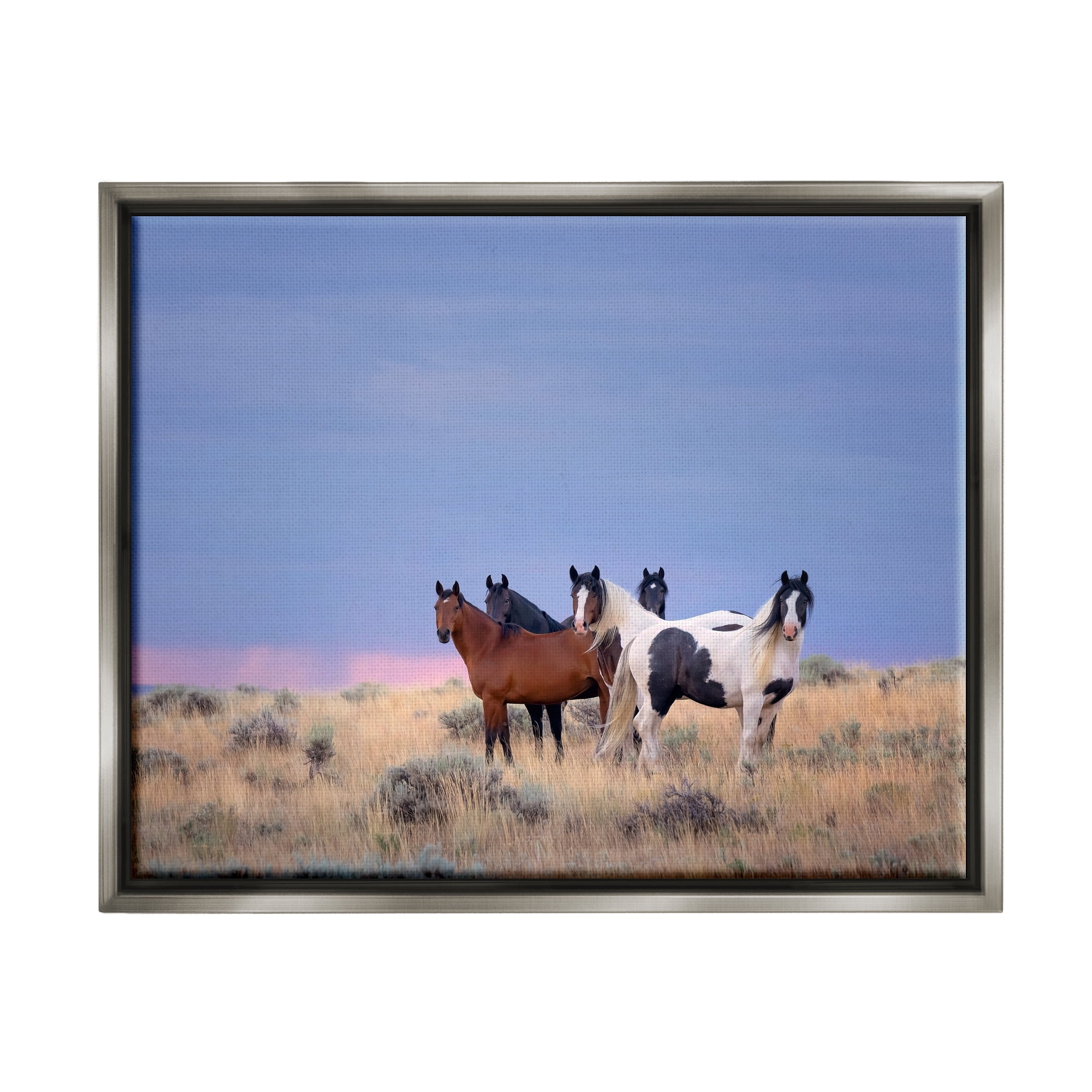 Stupell Industries Country Horses in Meadow Animals & Insects Photography Gray Floater Framed Canvas Art Print Wall Art, 21 x 17