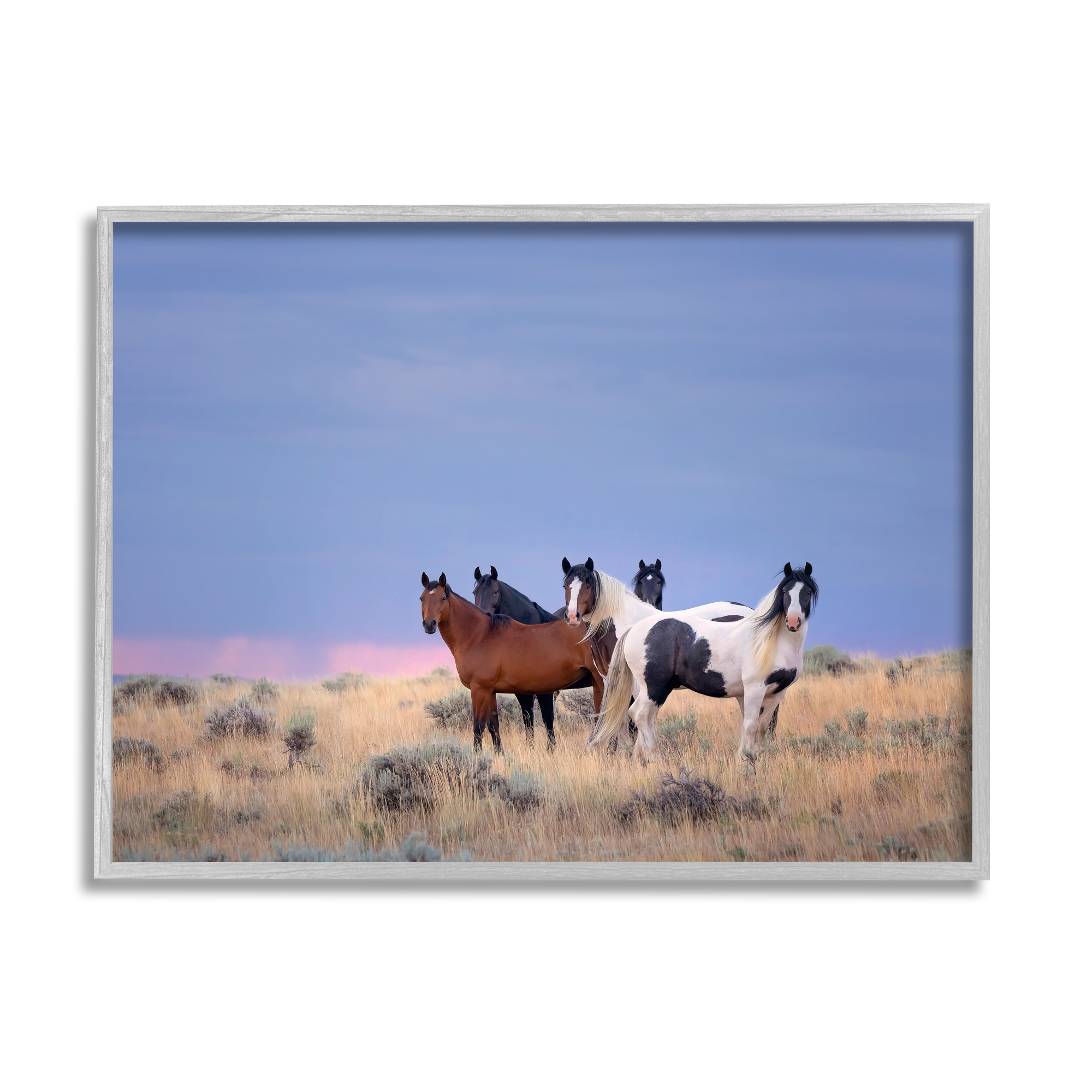Stupell Industries Country Horses in Meadow Animals & Insects Photography Gray Framed Art Print Wall Art, 14 x 11