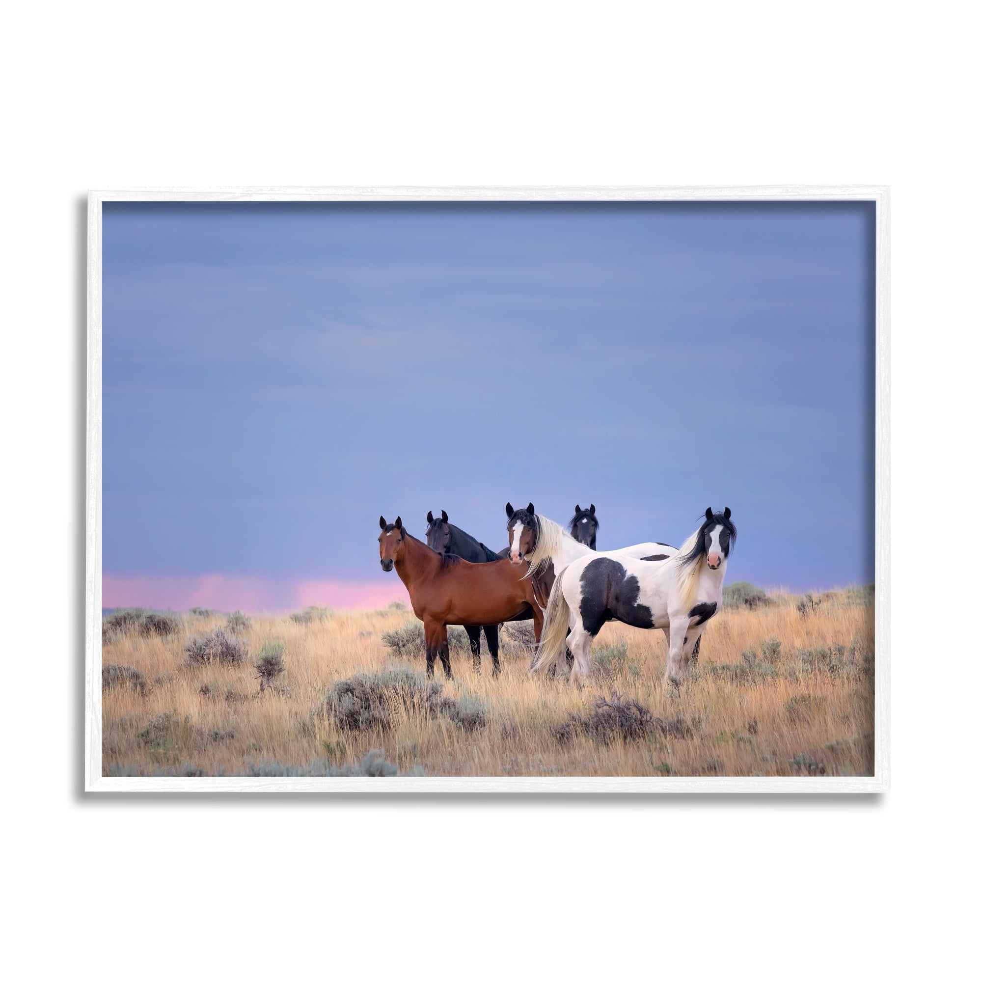 Stupell Industries Country Horses in Meadow Animals & Insects Photography White Framed Art Print Wall Art, 20 x 16