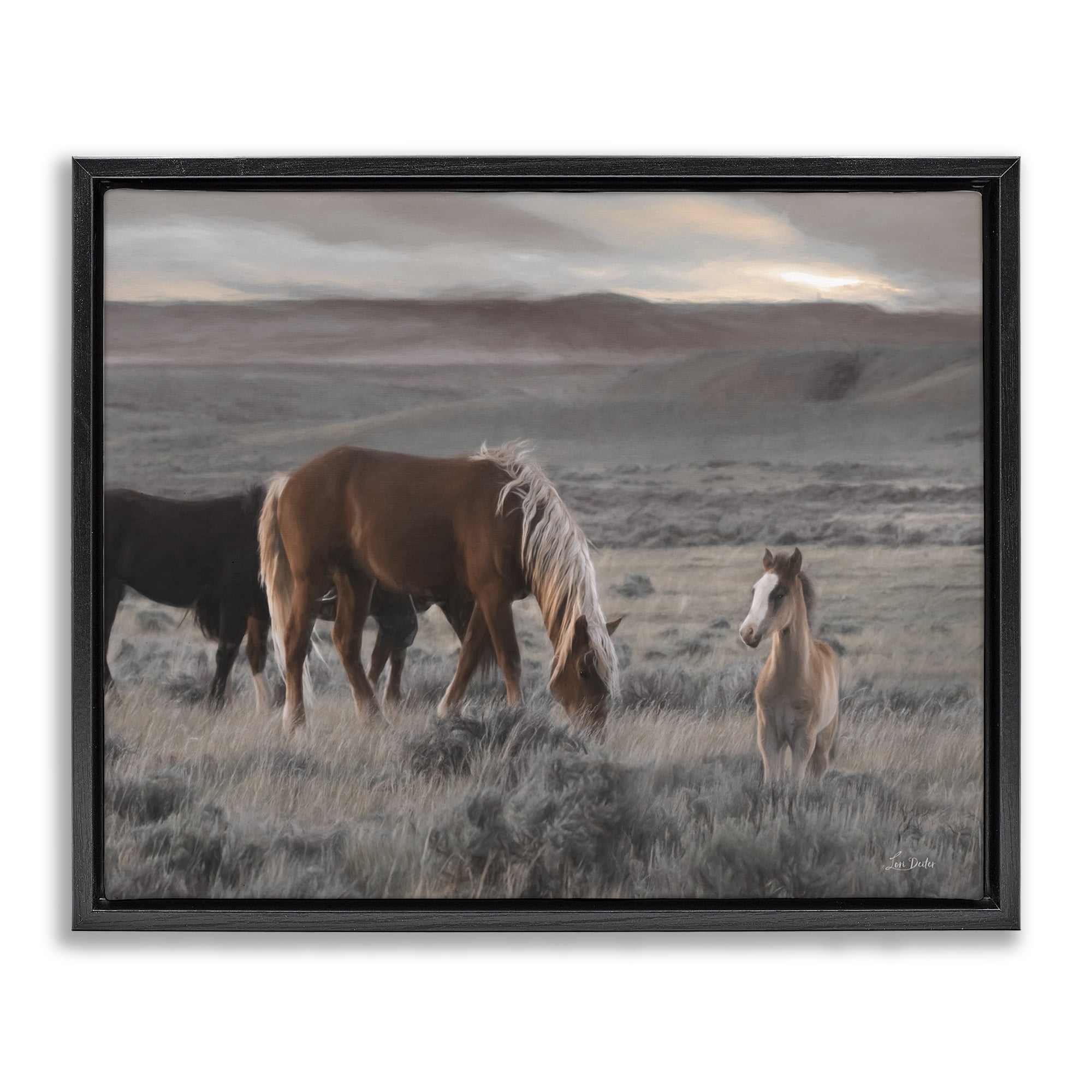Stupell Industries Country Horses in Valley Animals Photography Black Floater Framed Canvas Art Print Wall Art, 31 x 25