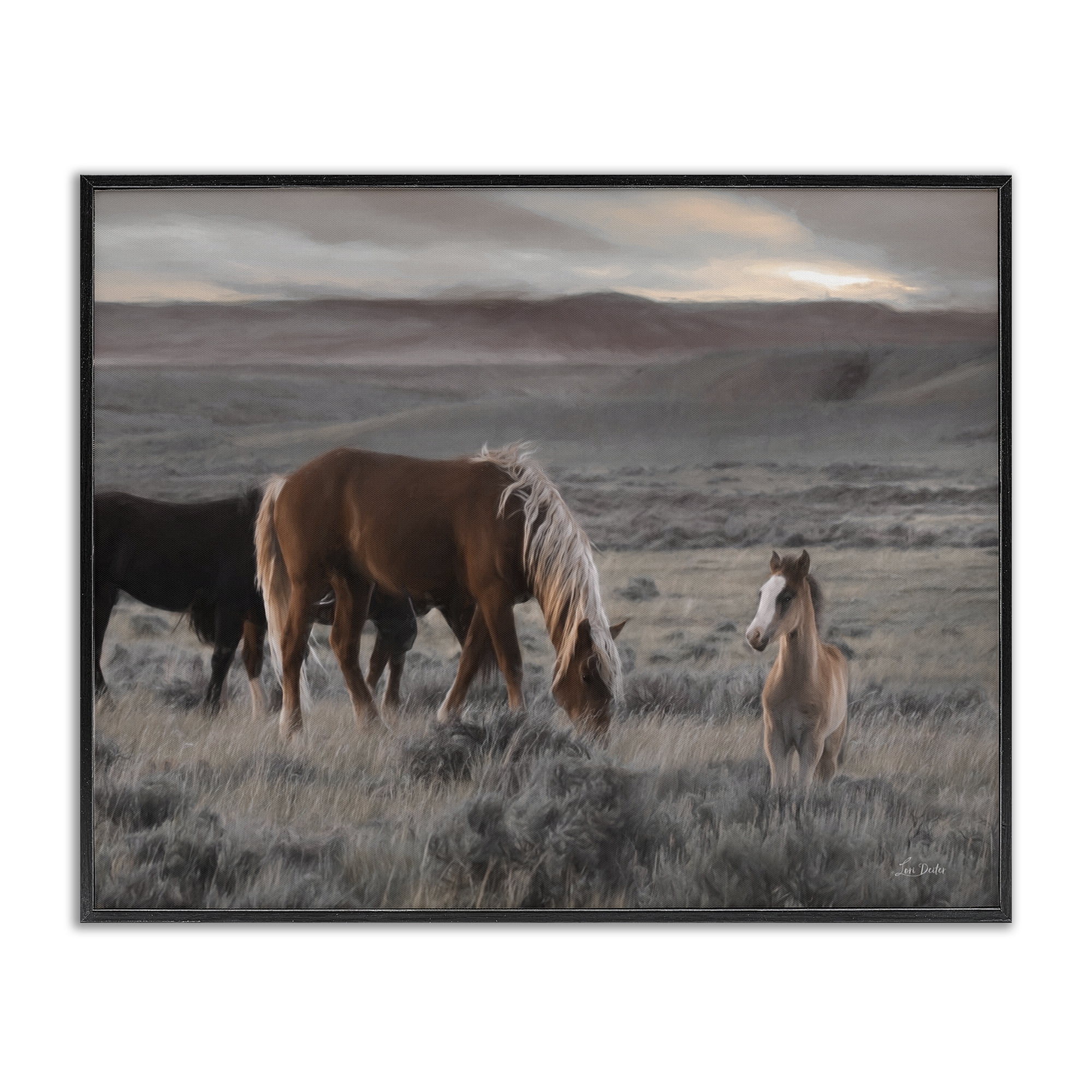 Stupell Industries Country Horses in Valley Animals Photography Black Framed Art Print Wall Art, 20 x 16