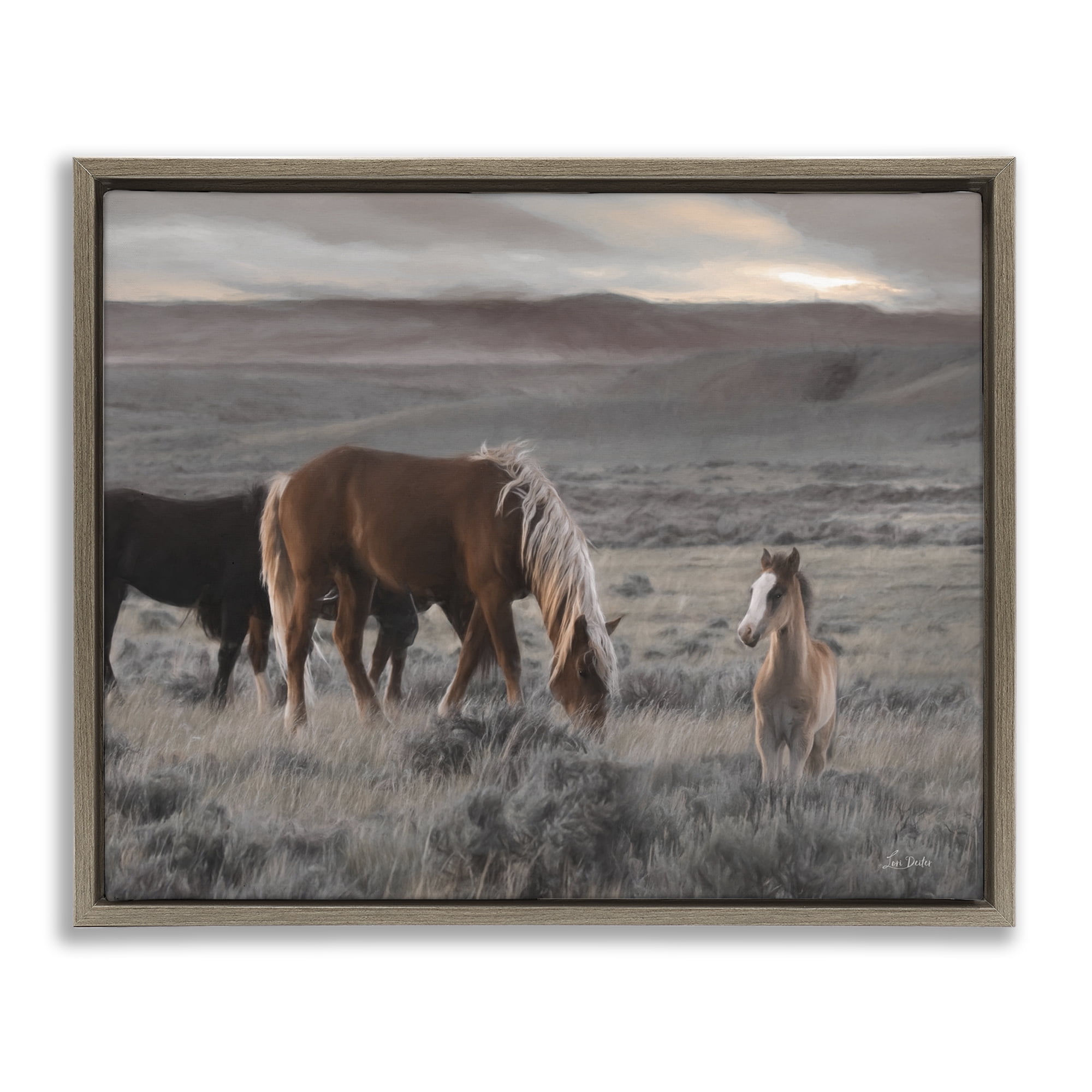 Stupell Industries Country Horses in Valley Animals Photography Brown Floater Framed Canvas Art Print Wall Art, 31 x 25