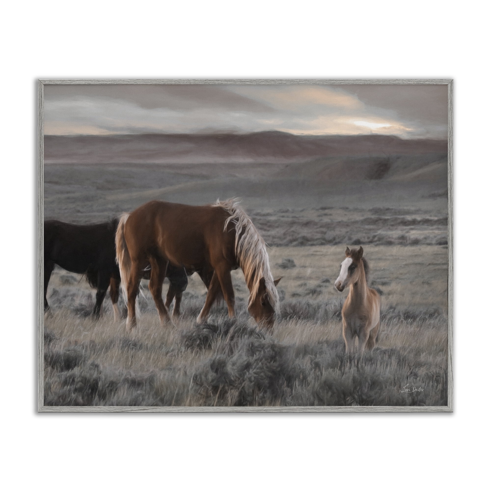 Stupell Industries Country Horses in Valley Animals Photography Gray Framed Art Print Wall Art, 20 x 16
