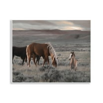 Stupell Industries Country Horses in Valley Animals Photography Unframed Art Print Wall Art, 14 x 11