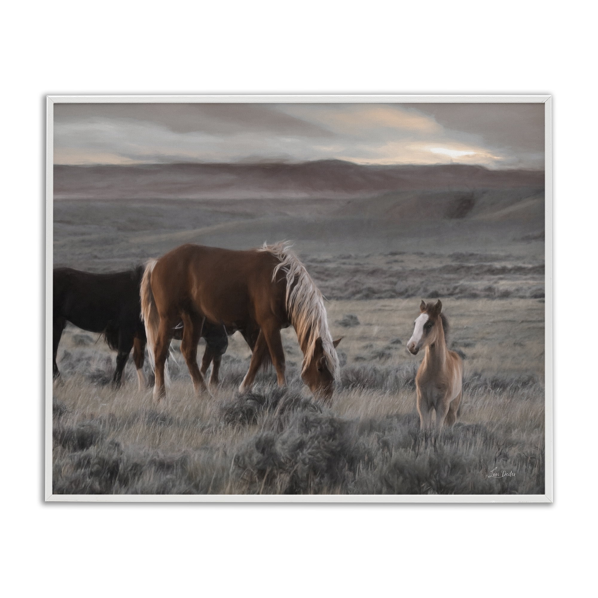 Stupell Industries Country Horses in Valley Animals Photography White Framed Art Print Wall Art, 30 x 24