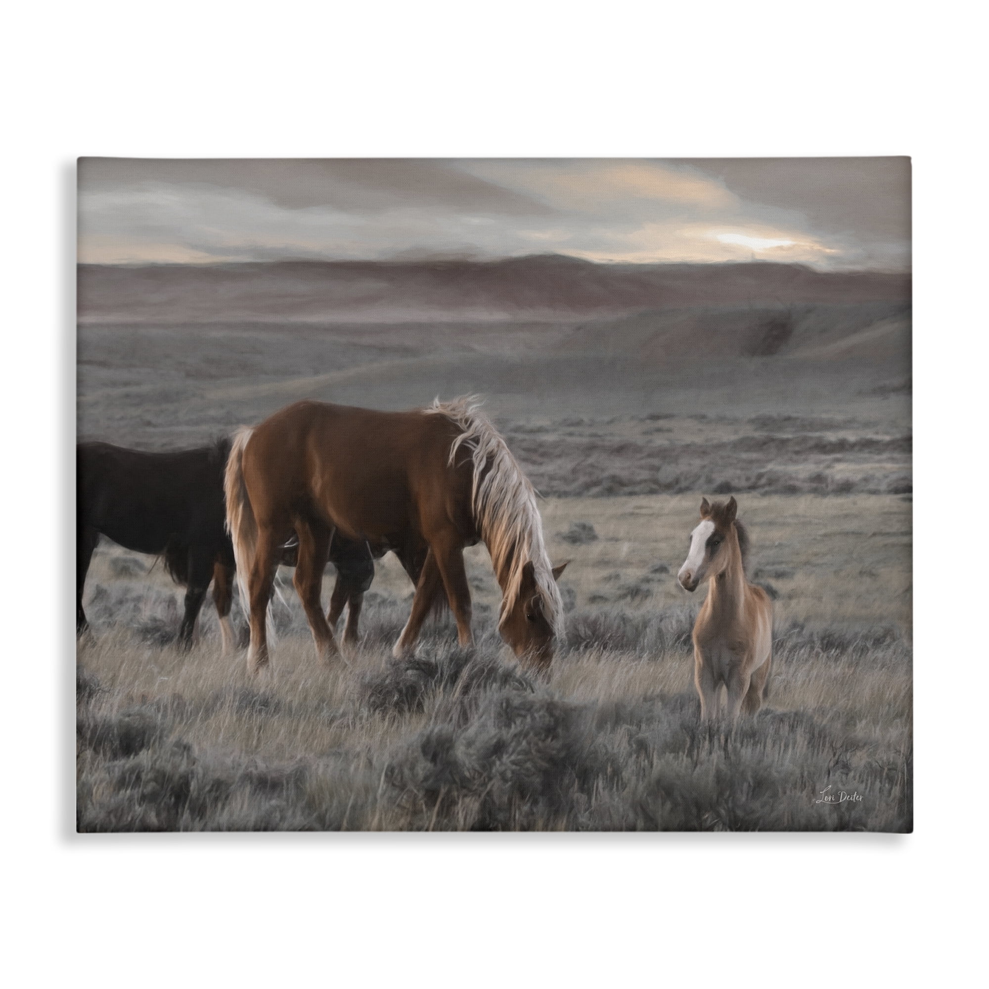 Stupell Industries Country Horses in Valley Animals Photography Wrapped Canvas Art Print Wall Art, 30 x 24