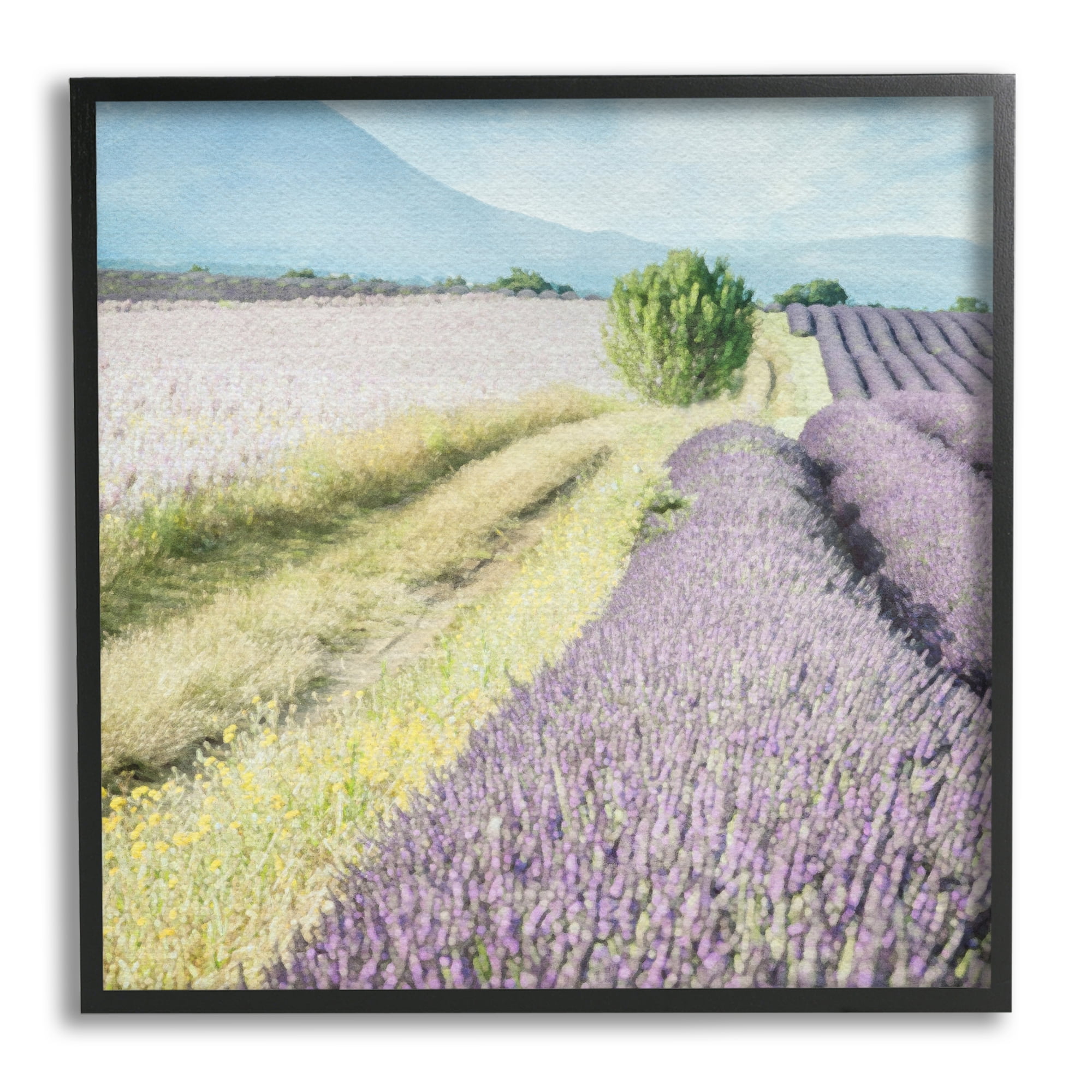 Stupell Industries Country Lavender Fields Nature Painting Black Framed Art Print Wall Art, 17 x 17