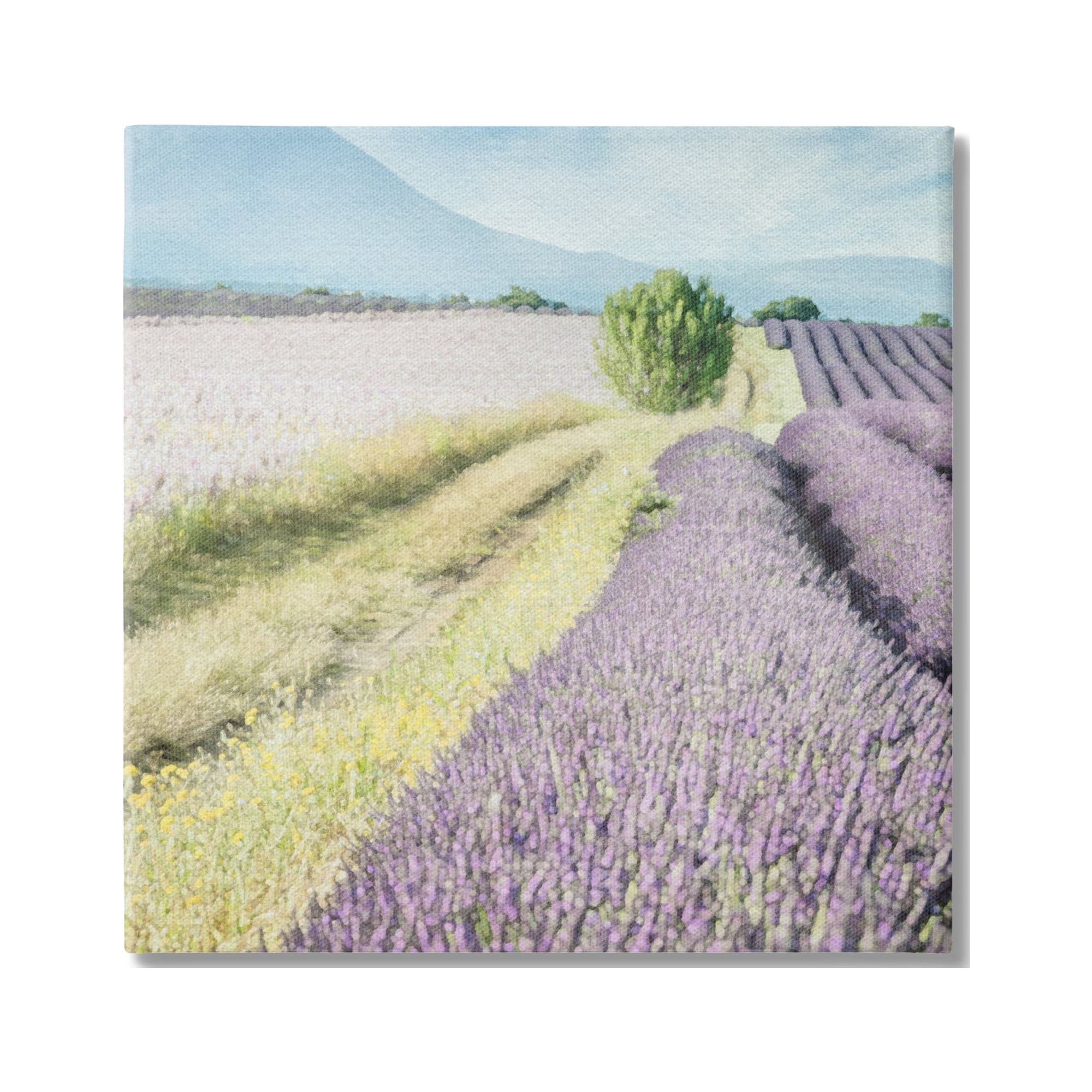 Stupell Industries Country Lavender Fields Nature Painting Gallery Wrapped Canvas Print Wall Art, 30 x 30