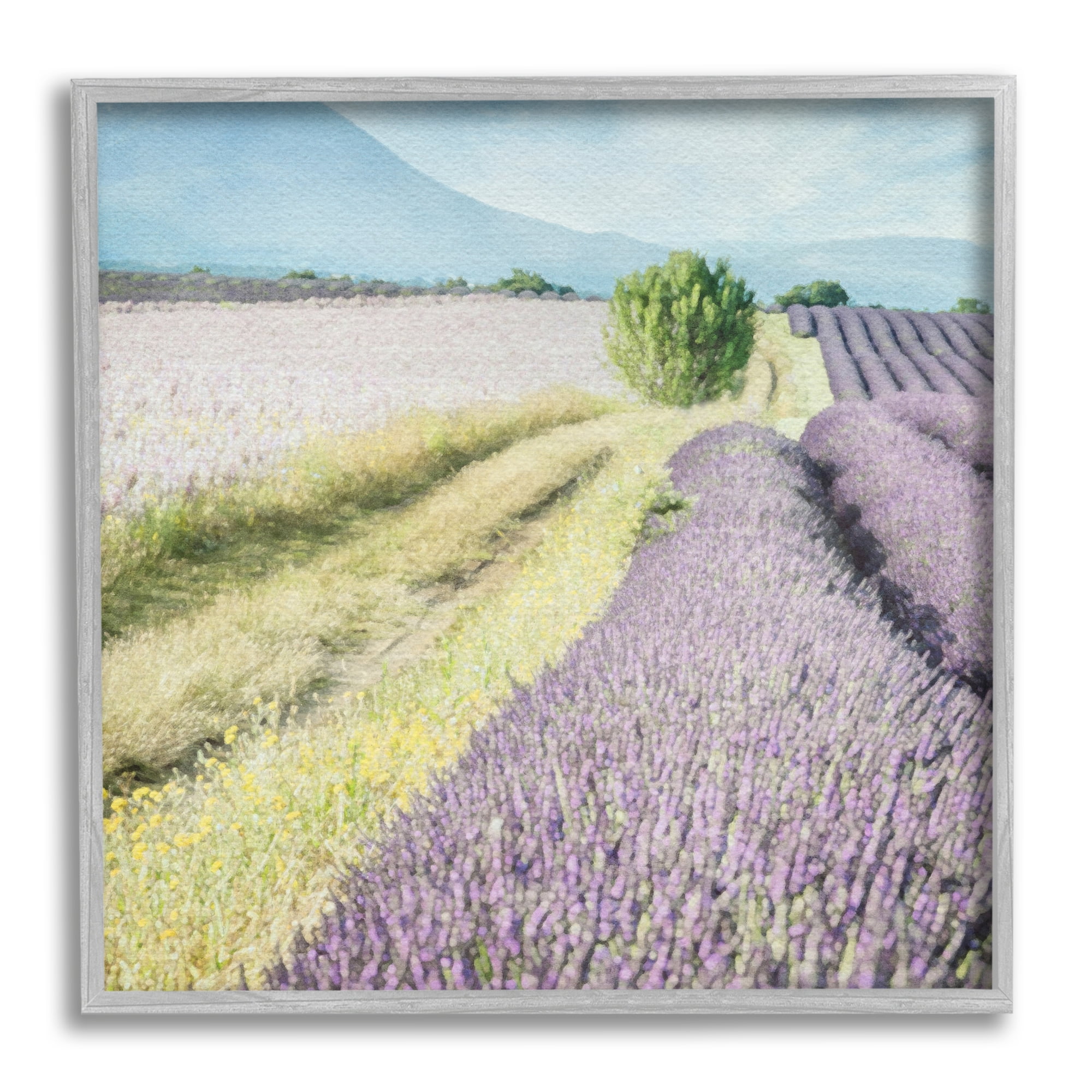 Stupell Industries Country Lavender Fields Nature Painting Gray Framed Art Print Wall Art, 24 x 24