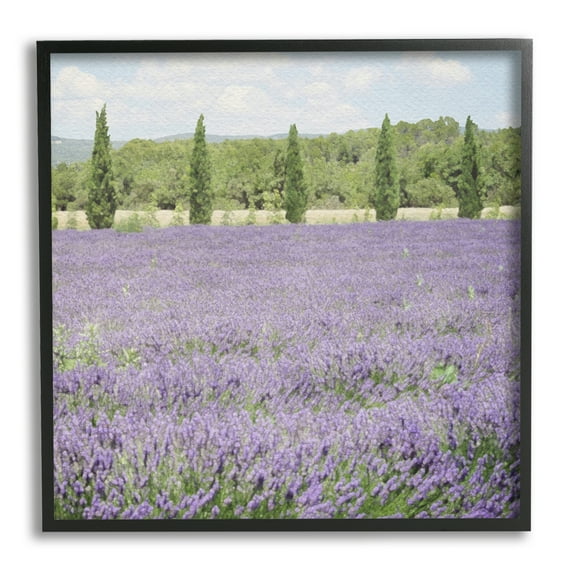 Stupell Industries Country Lavender Meadow Nature Painting Black Framed Art Print Wall Art, 17 x 17