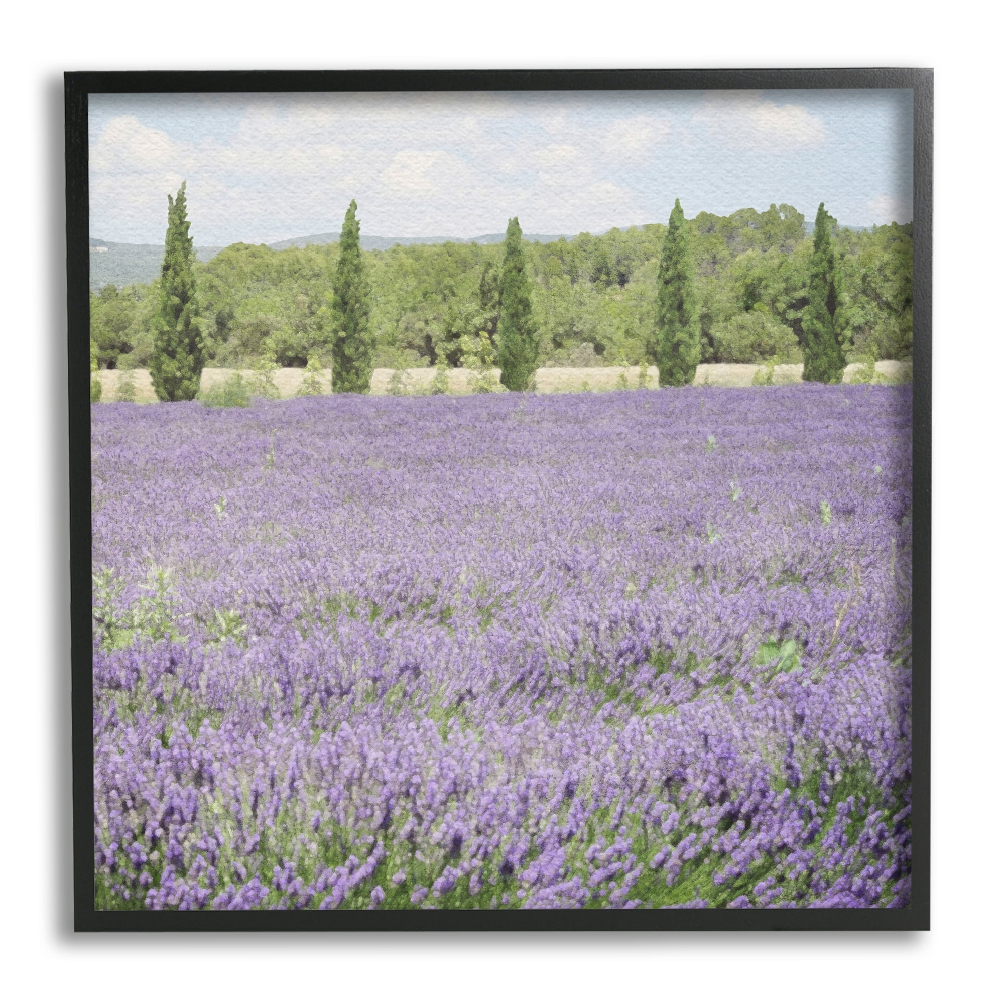 Stupell Industries Country Lavender Meadow Nature Painting Black Framed Art Print Wall Art, 24 x 24
