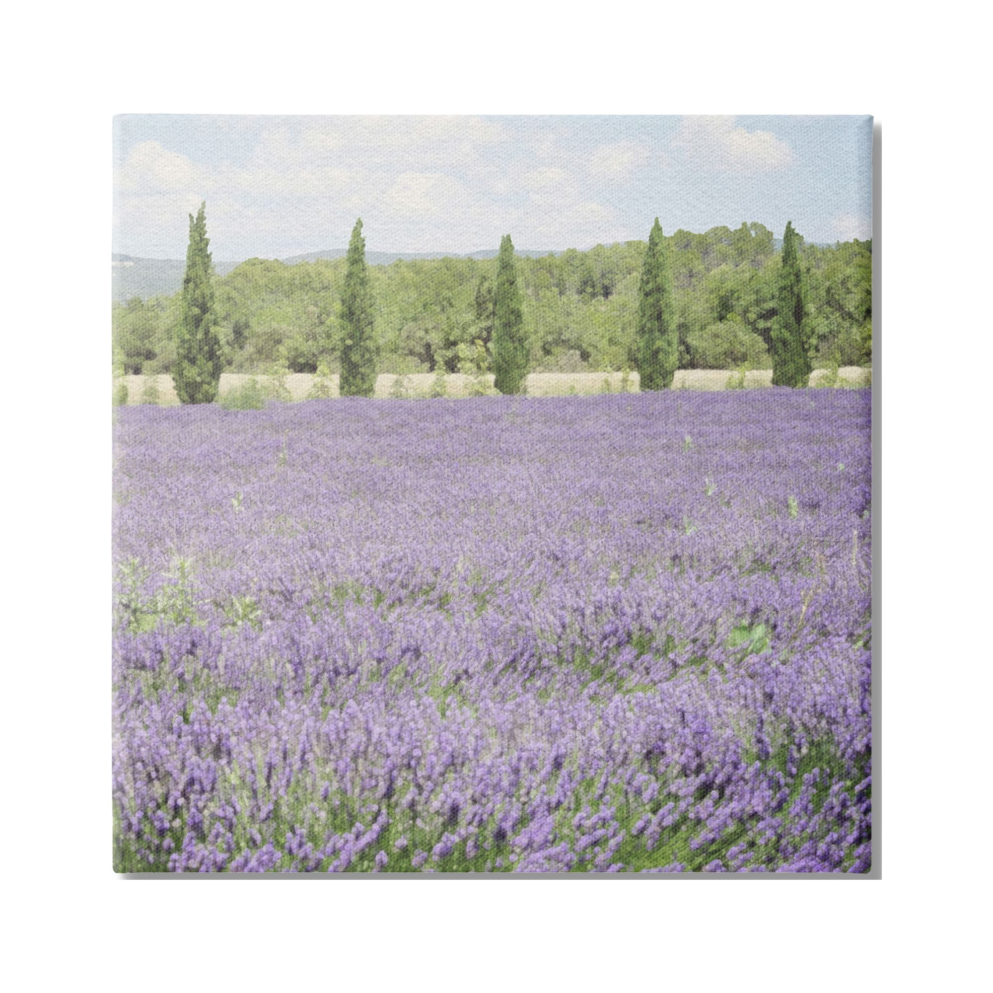 Stupell Industries Country Lavender Meadow Nature Painting Gallery Wrapped Canvas Print Wall Art, 17 x 17