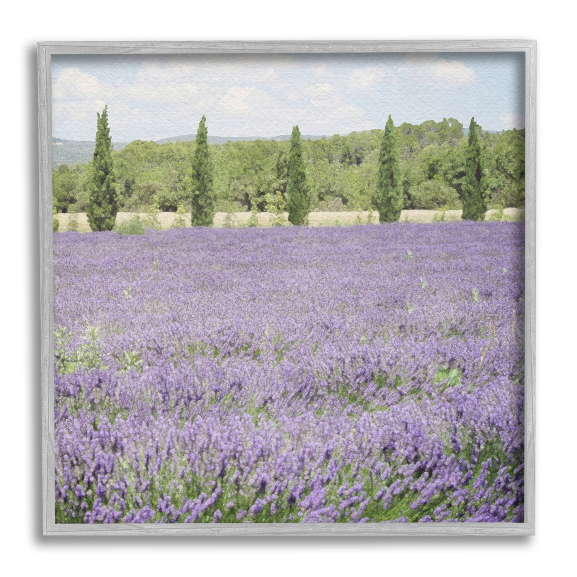 Stupell Industries Country Lavender Meadow Nature Painting Gray Framed Art Print Wall Art, 17 x 17
