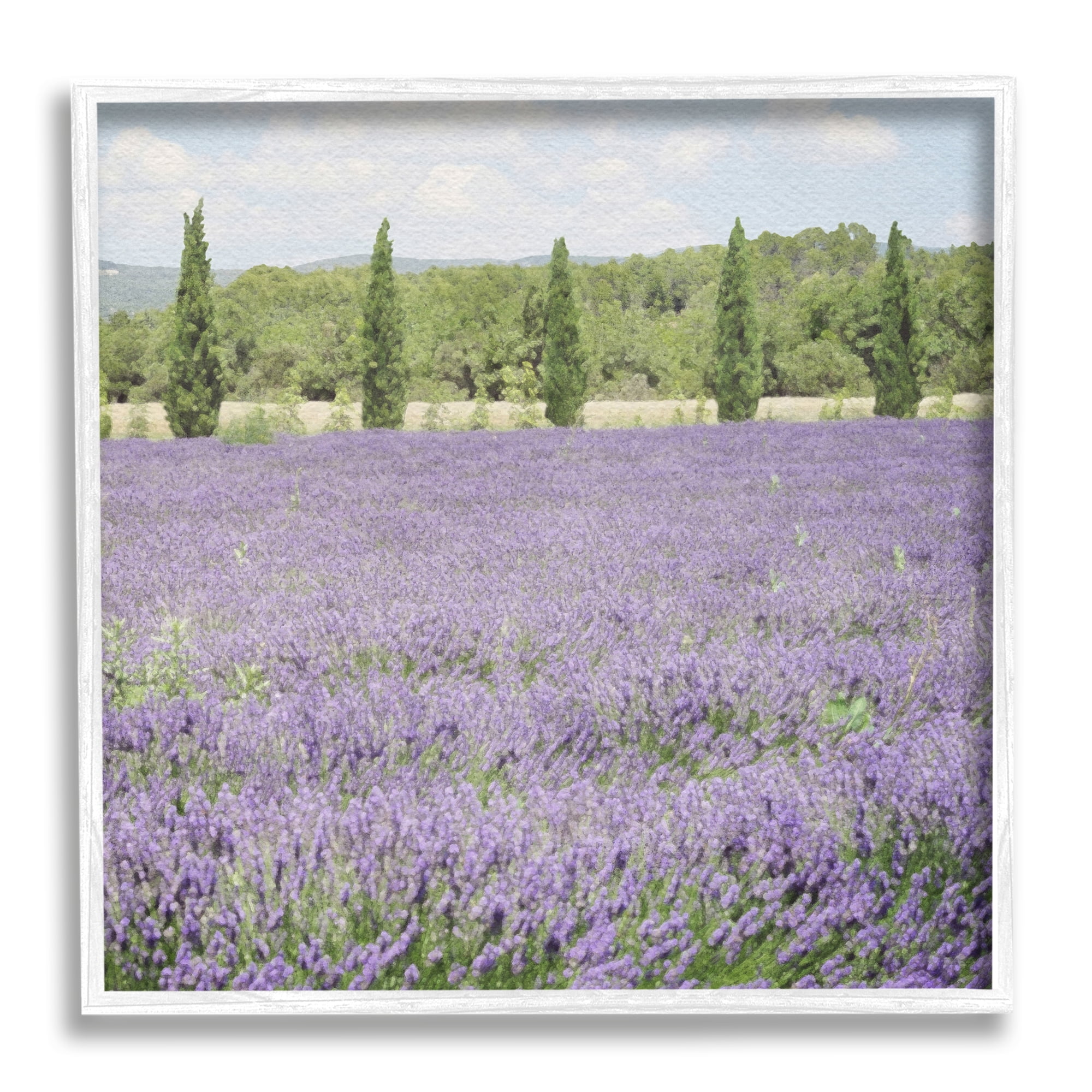 Stupell Industries Country Lavender Meadow Nature Painting White Framed Art Print Wall Art, 17 x 17