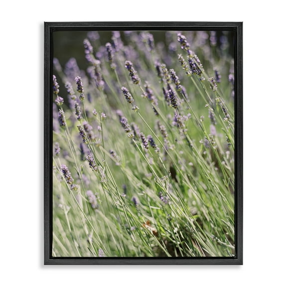 Stupell Industries Country Lilac Garden Botanical & Floral Photography Black Floater Framed Art Print Wall Art, 17 x 21