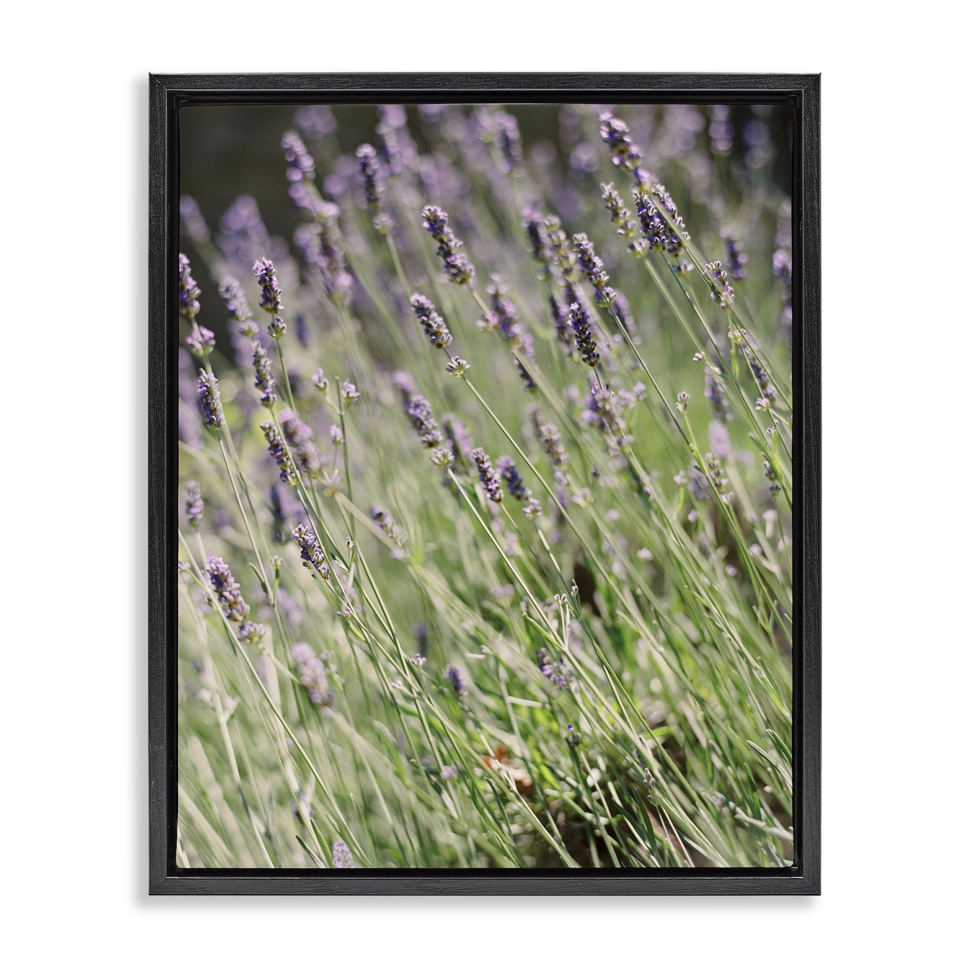 Stupell Industries Country Lilac Garden Botanical & Floral Photography Black Floater Framed Art Print Wall Art, 25 x 31
