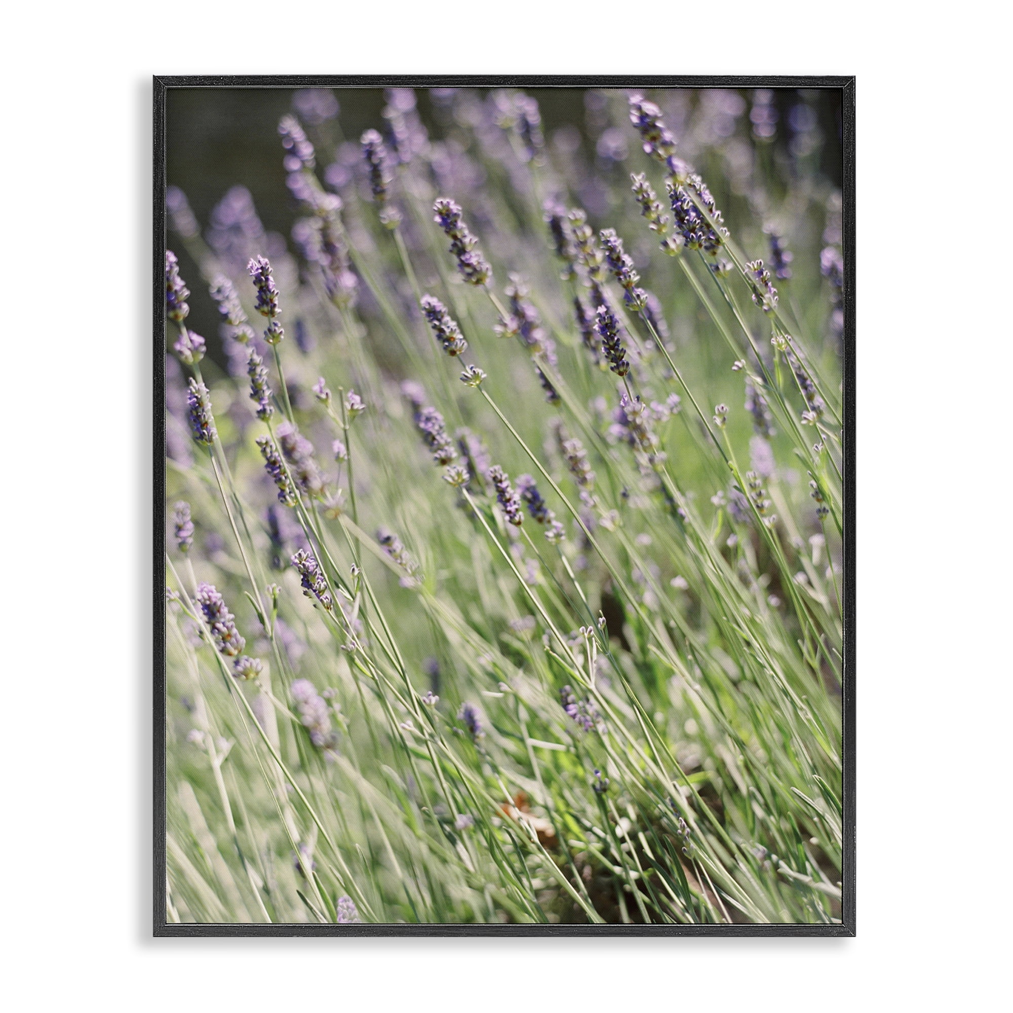 Stupell Industries Country Lilac Garden Botanical & Floral Photography Black Framed Art Print Wall Art, 11 x 14