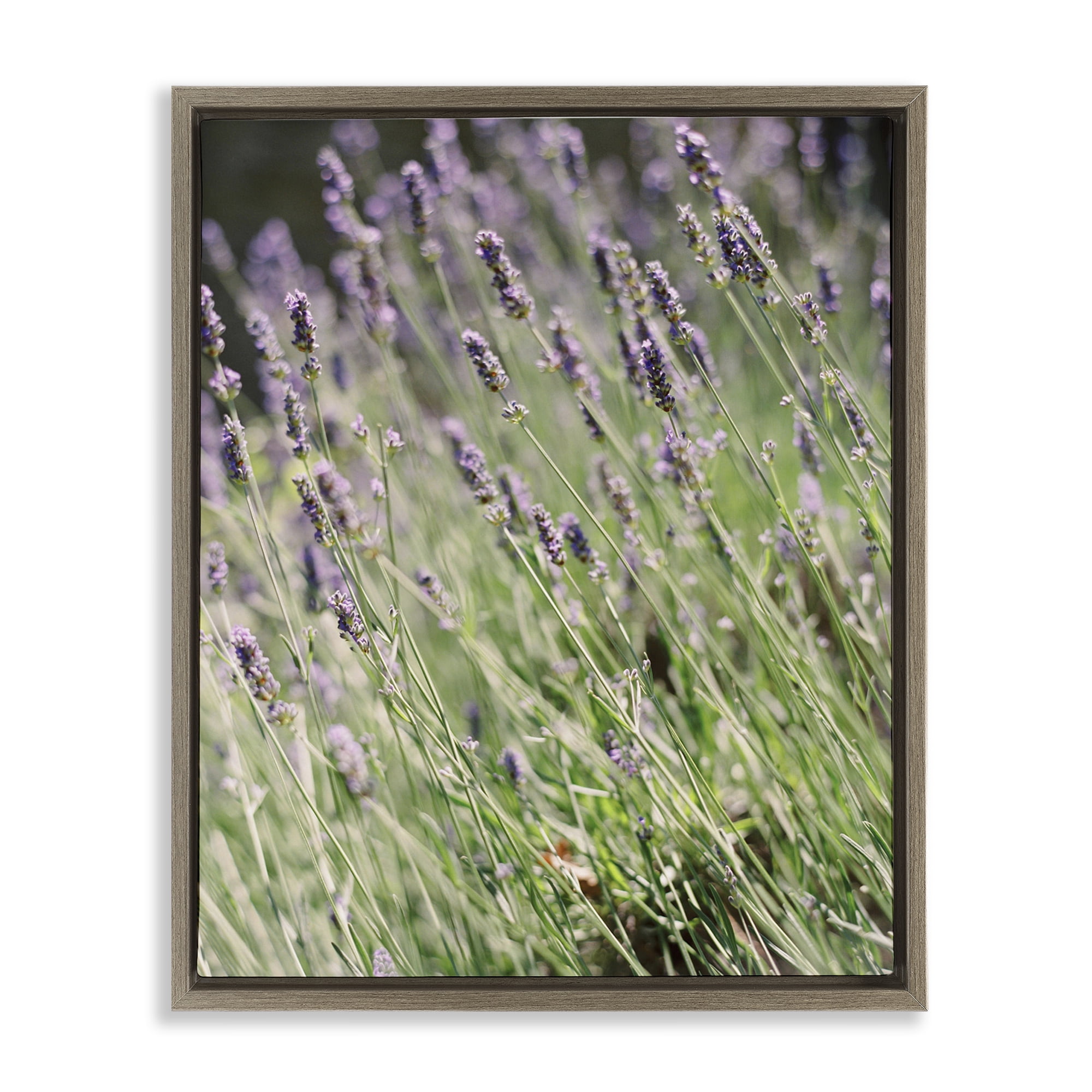 Stupell Industries Country Lilac Garden Botanical & Floral Photography Brown Floater Framed Art Print Wall Art, 17 x 21