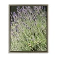 thumbnail image 1 of Stupell Industries Country Lilac Garden Botanical & Floral Photography Brown Floater Framed Art Print Wall Art, 25 x 31, 1 of 10