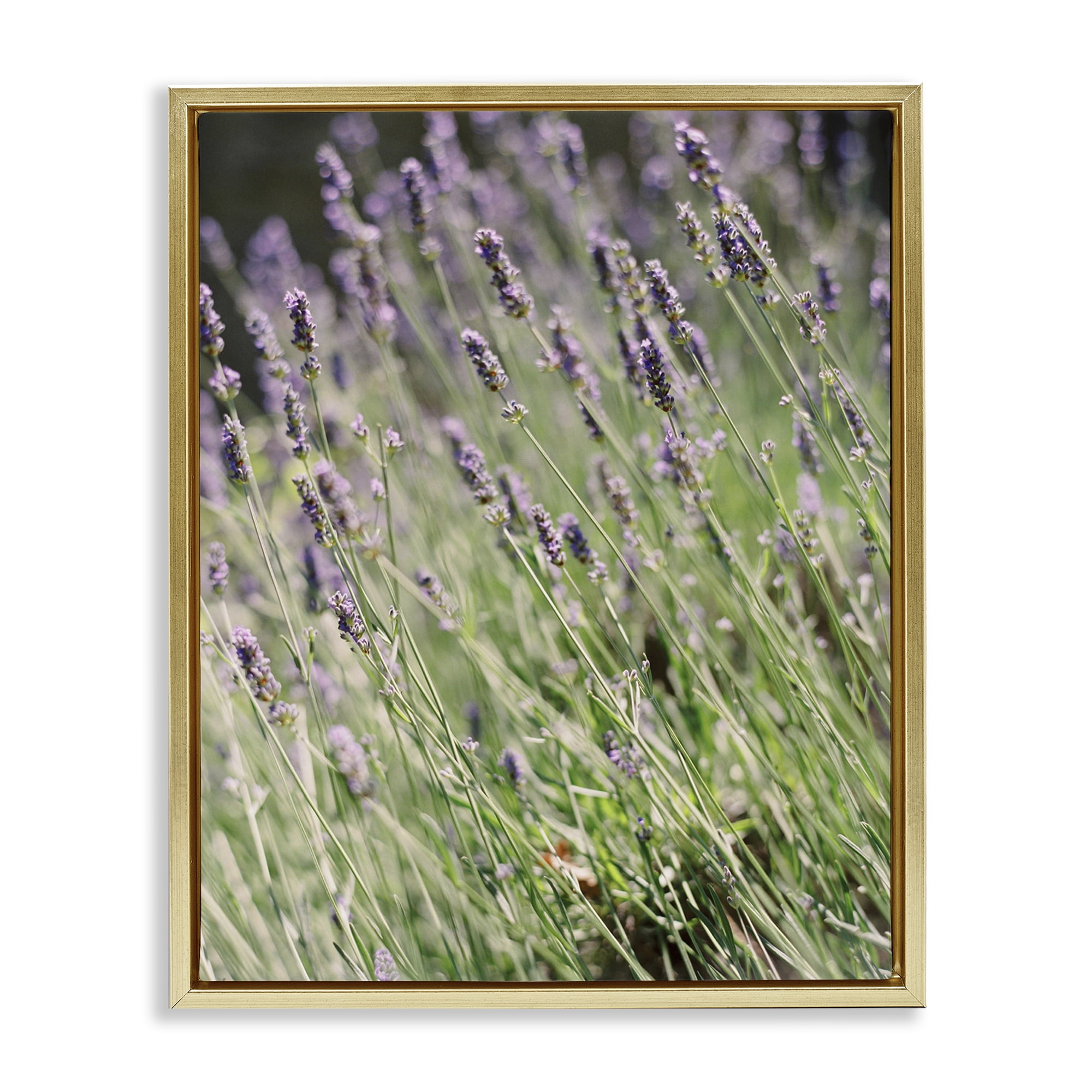 Stupell Industries Country Lilac Garden Botanical & Floral Photography Gold Floater Framed Art Print Wall Art, 25 x 31