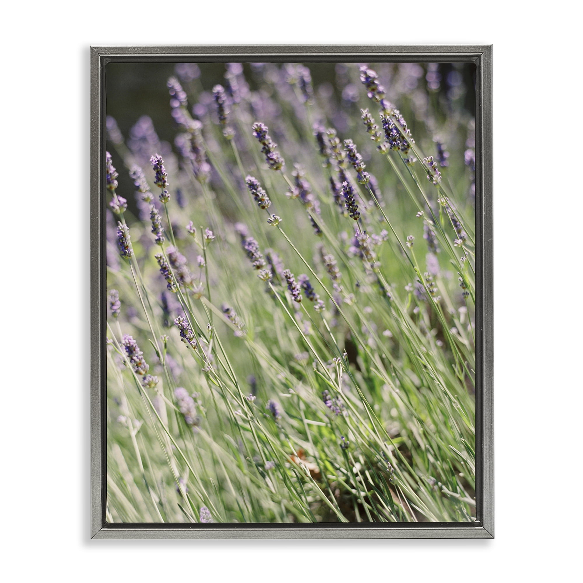 Stupell Industries Country Lilac Garden Botanical & Floral Photography Gray Floater Framed Art Print Wall Art, 25 x 31