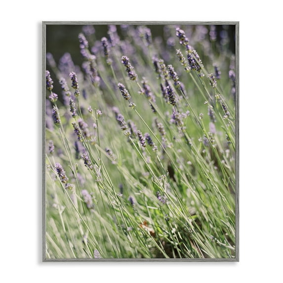Stupell Industries Country Lilac Garden Botanical & Floral Photography Gray Framed Art Print Wall Art, 24 x 30