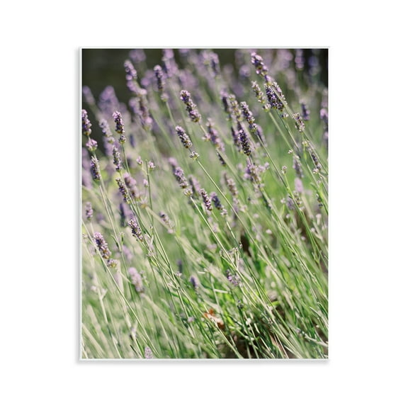 Stupell Industries Country Lilac Garden Botanical & Floral Photography Unframed Art Print Wall Art, 11 x 14