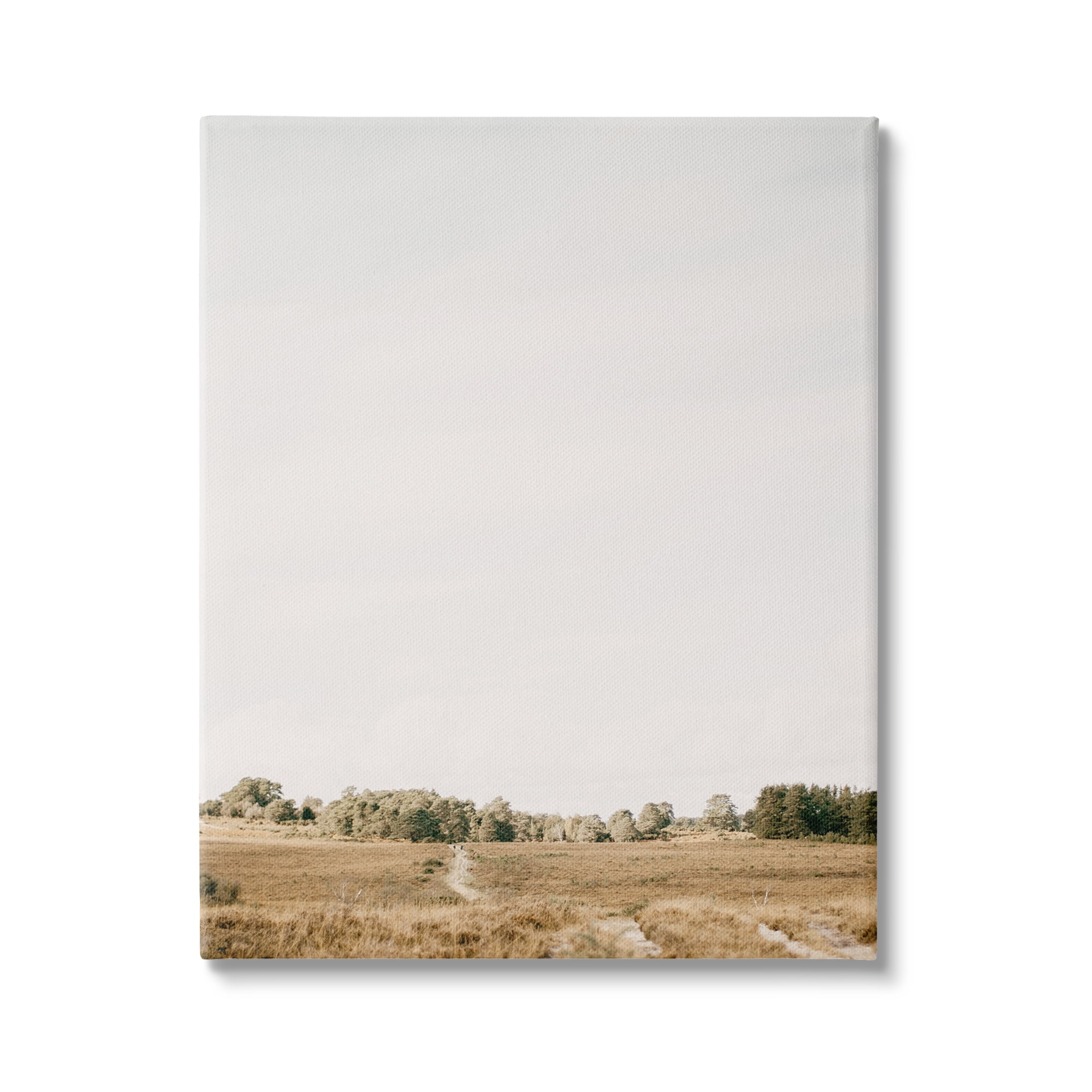Stupell Industries Country Sky Photography Landscape Photography Gallery Wrapped Canvas Art Print Wall Art, 16 x 20