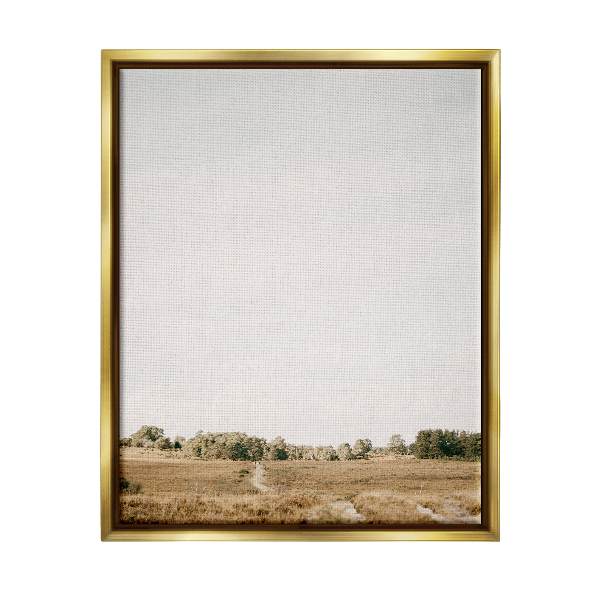 Stupell Industries Country Sky Photography Landscape Photography Gold Floater Framed Canvas Art Print Wall Art, 17 x 21