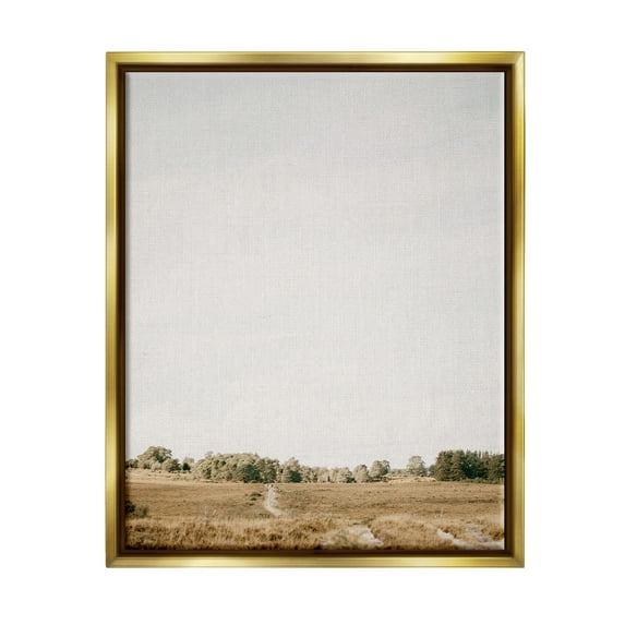 Stupell Industries Country Sky Photography Landscape Photography Gold Floater Framed Canvas Art Print Wall Art, 17 x 21