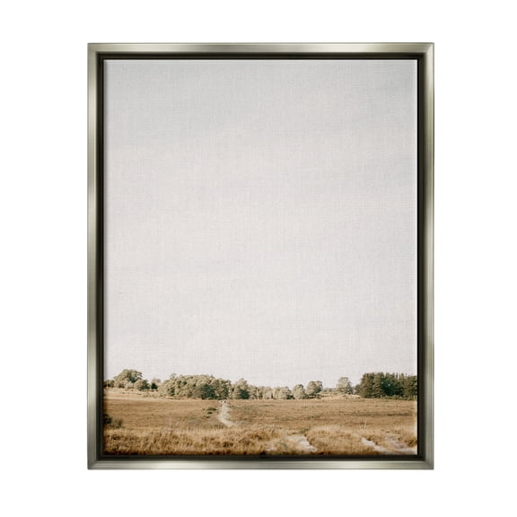 Stupell Industries Country Sky Photography Landscape Photography Gray Floater Framed Canvas Art Print Wall Art, 25 x 31